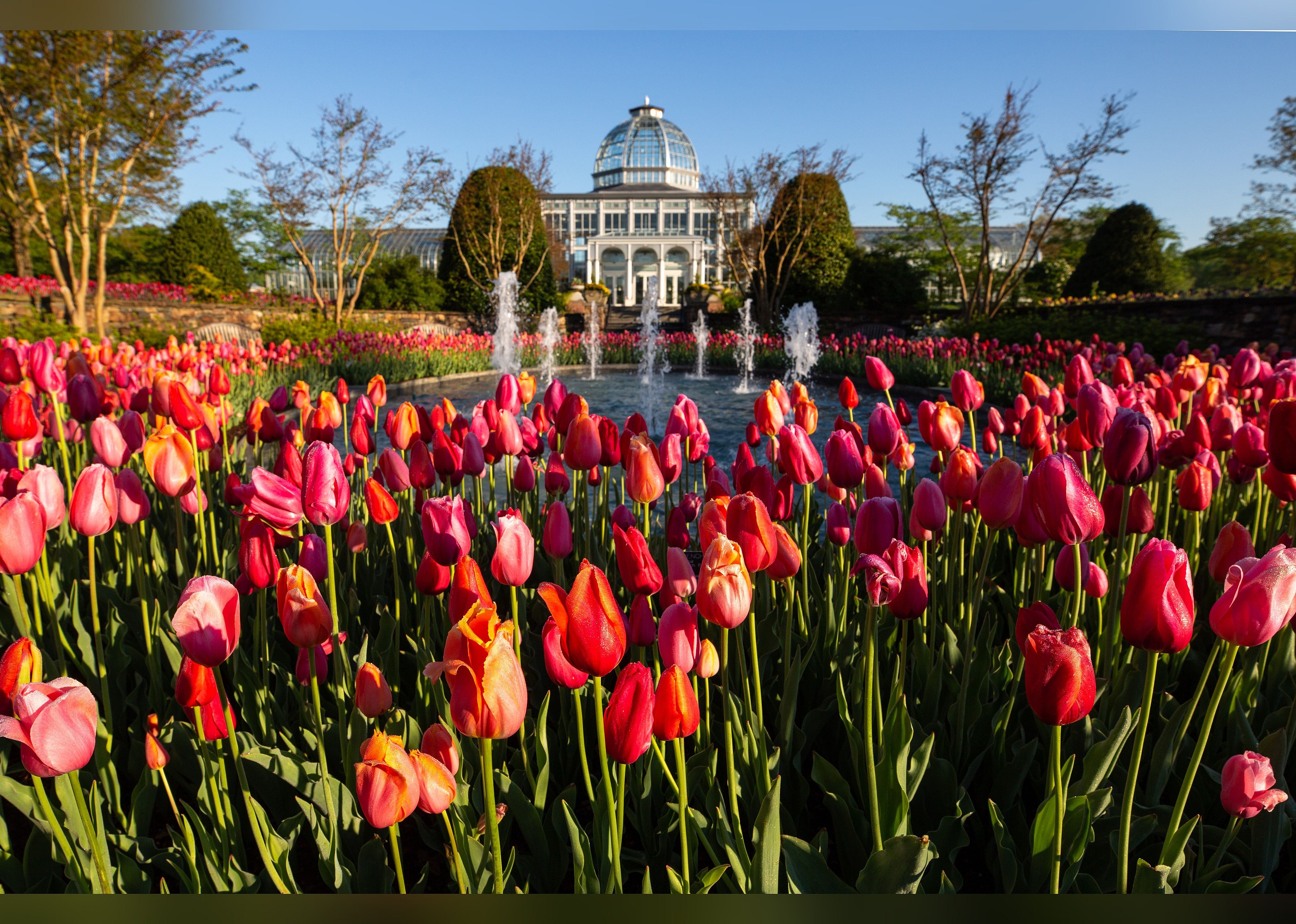 #21. Lewis Ginter Botanical Garden