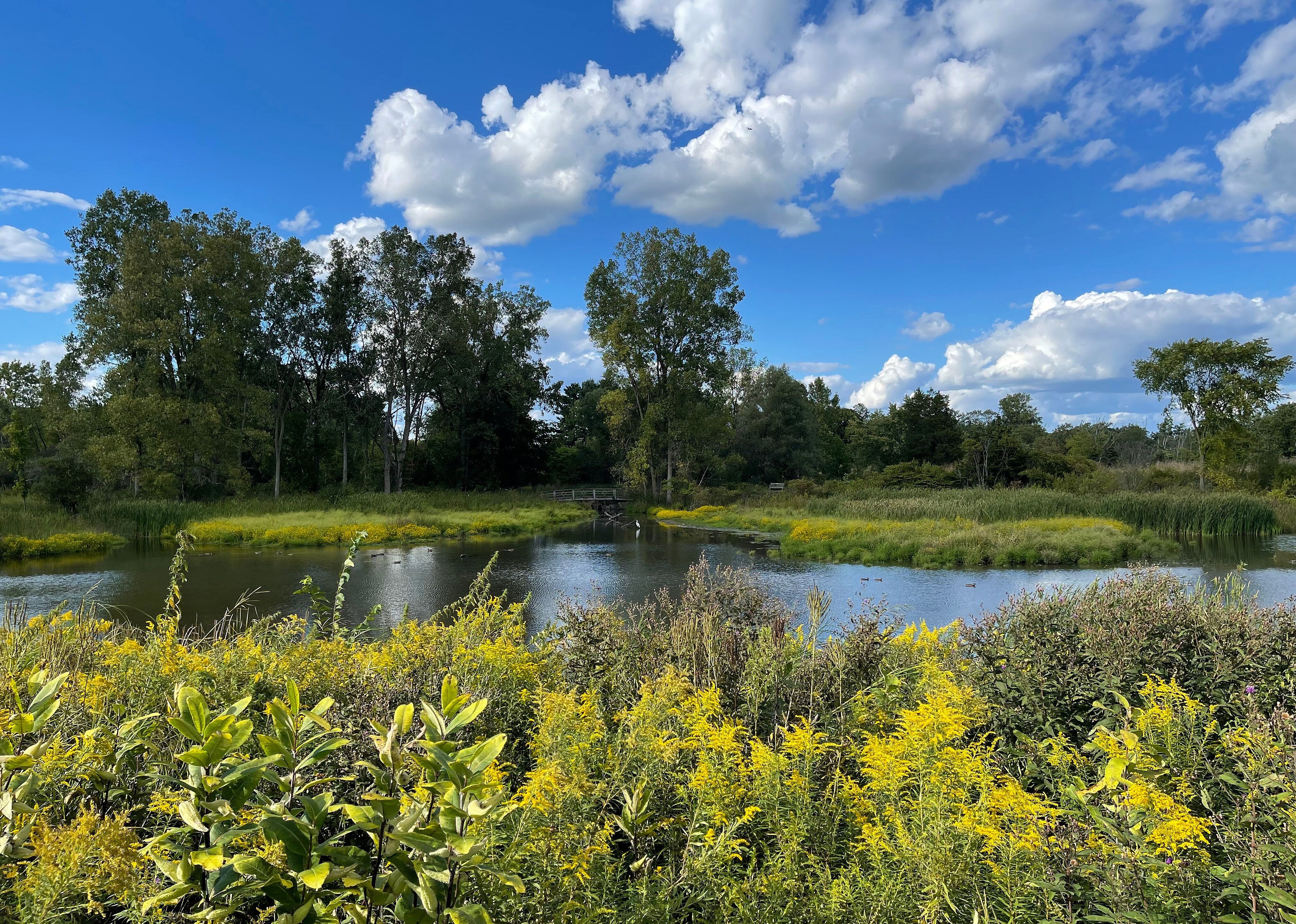 #25. Matthaei Botanical Gardens