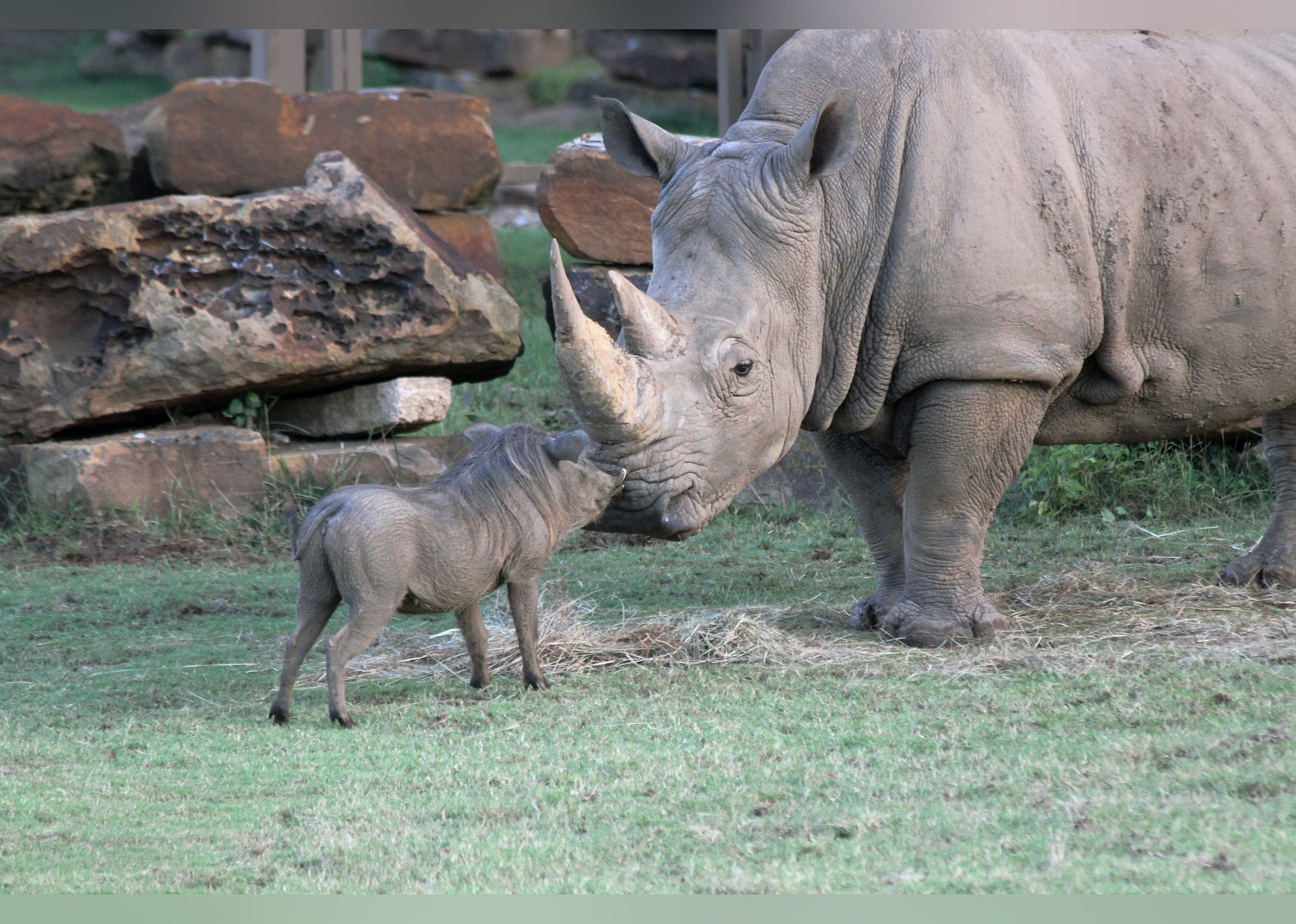 #19. Tulsa Zoo