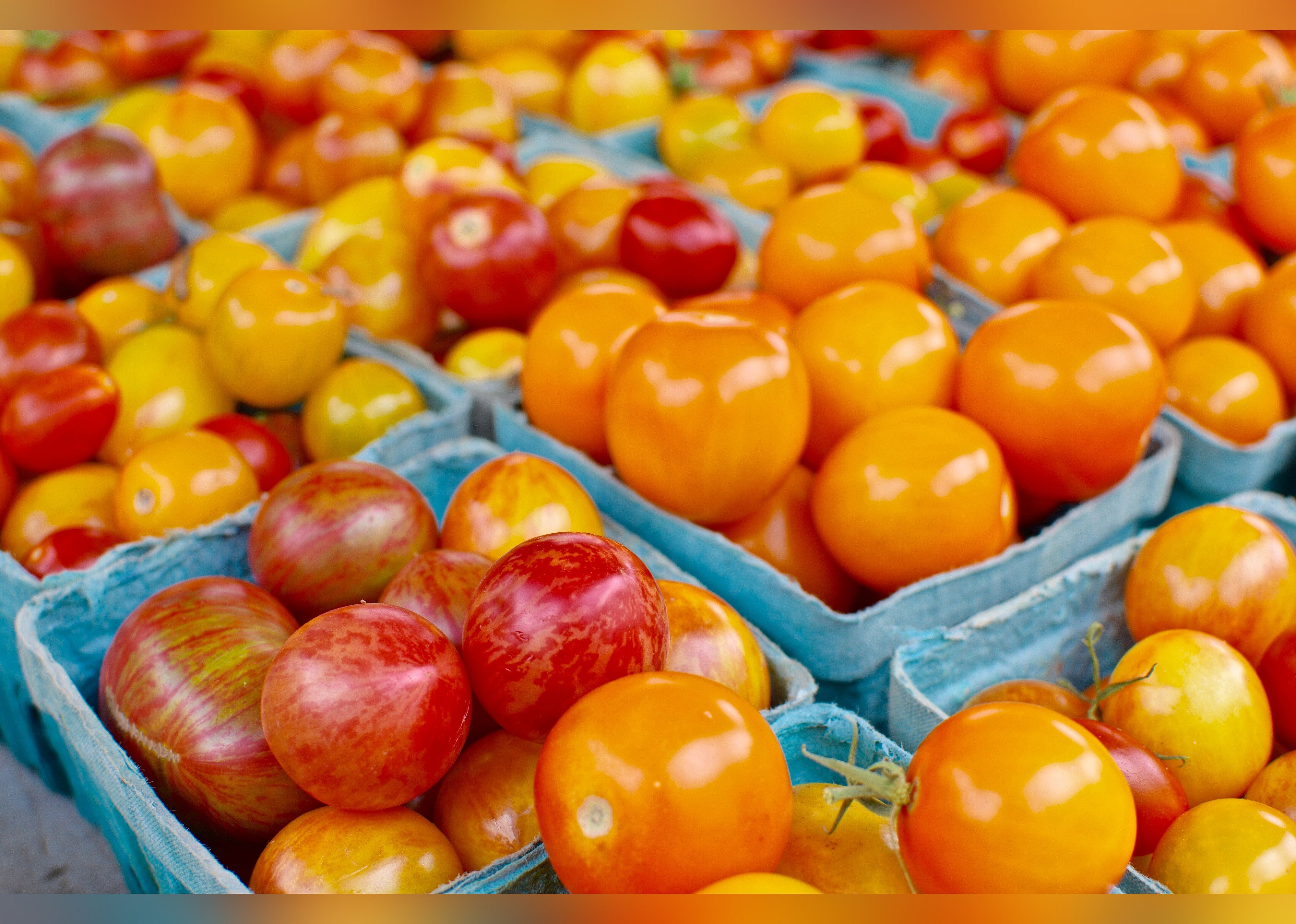 #20. Dane County Farmers' Market