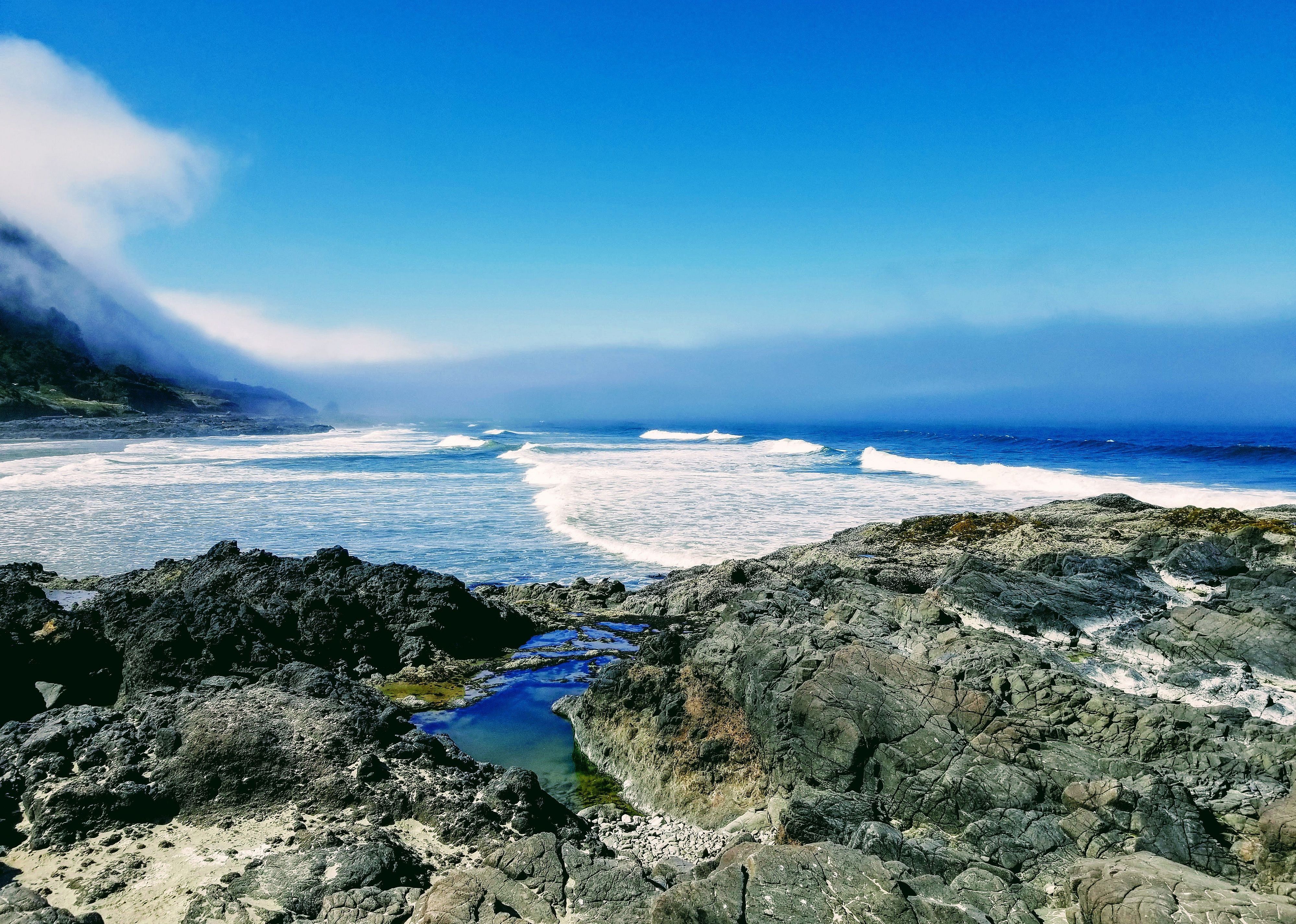 #10. Cape Perpetua Scenic Area