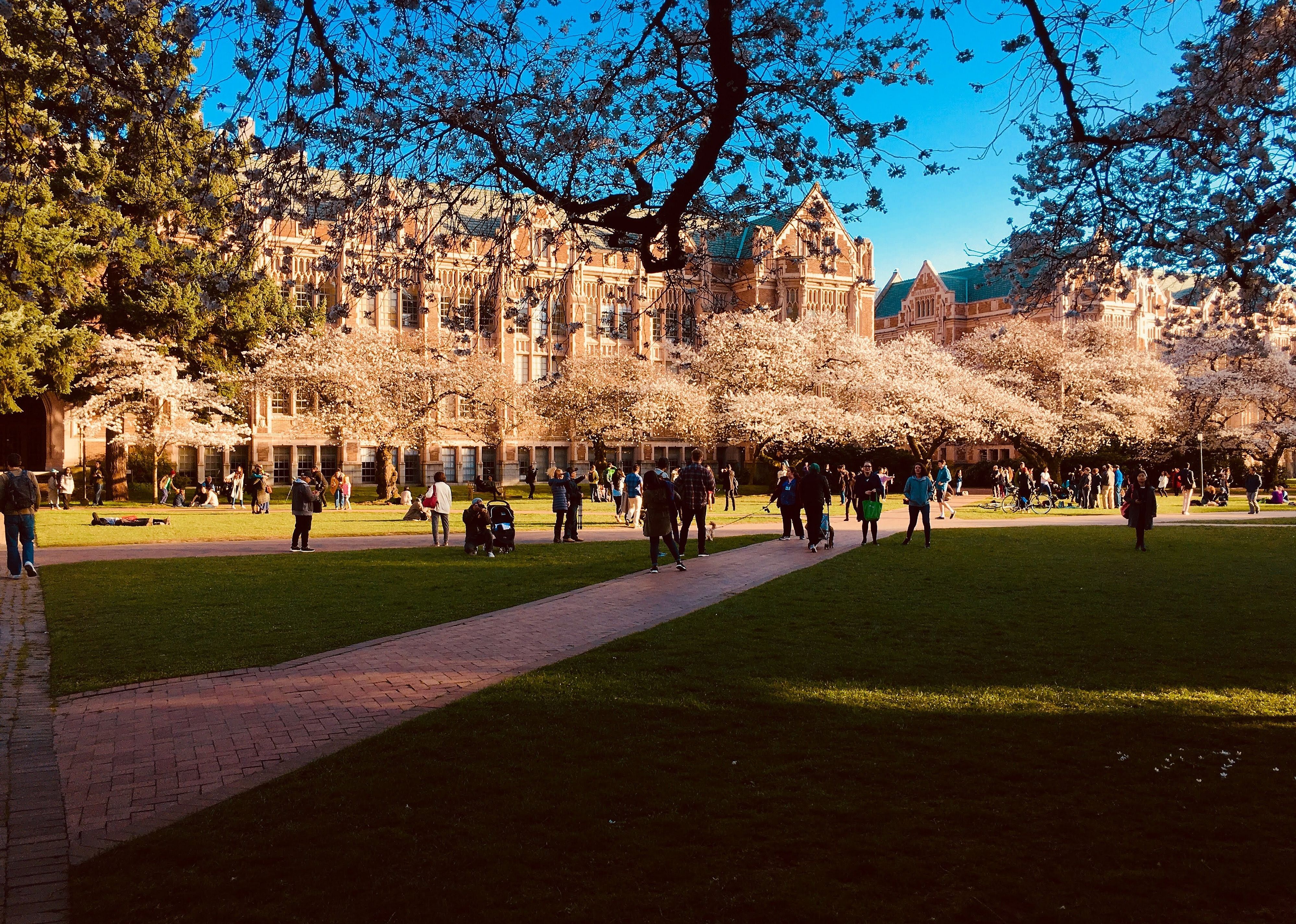 #18. University of Washington