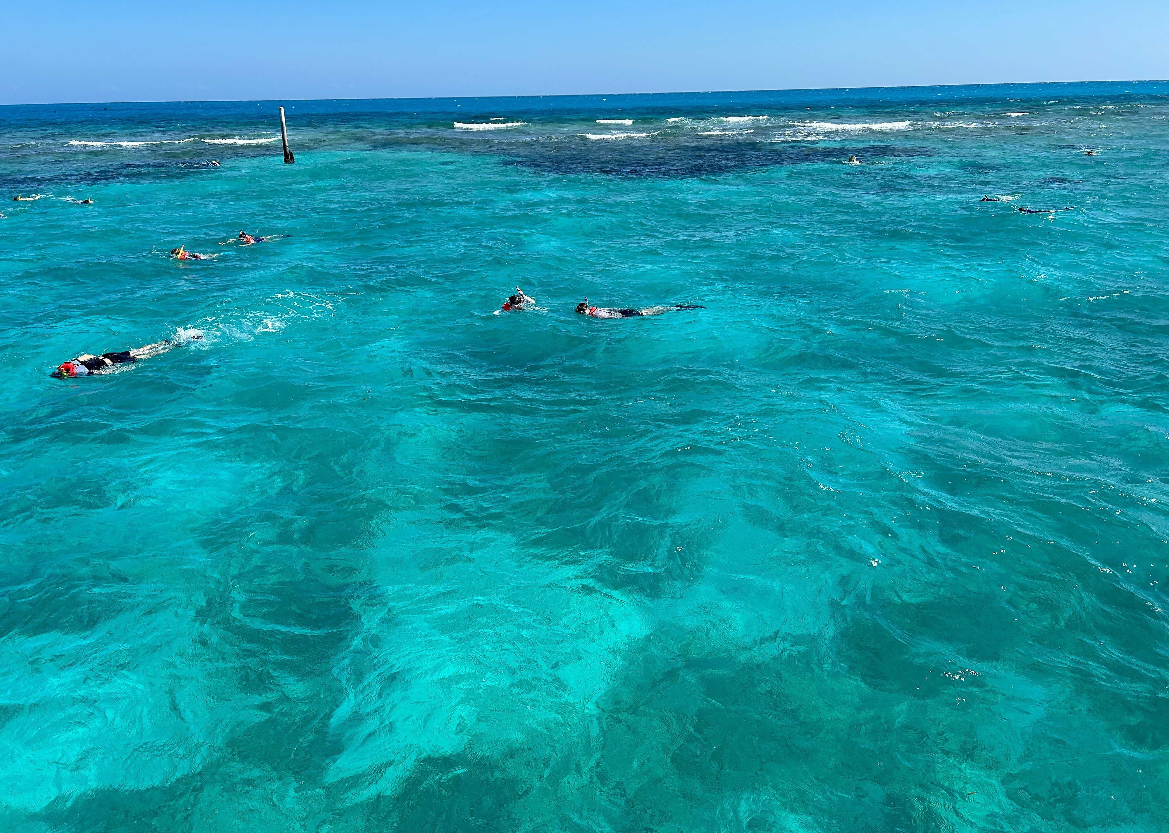 #3. John Pennekamp Coral Reef State Park