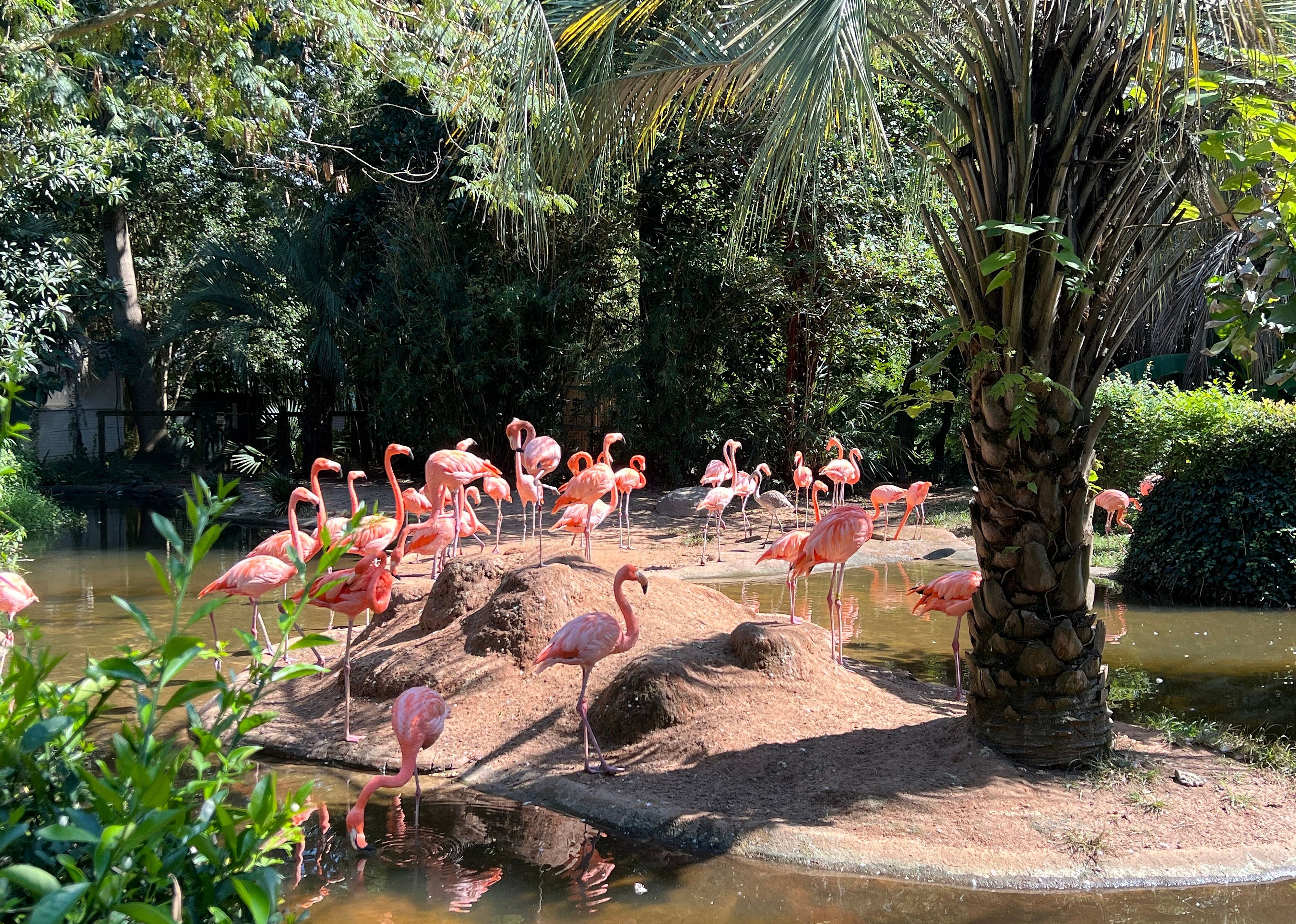 #18. Riverbanks Zoo and Garden