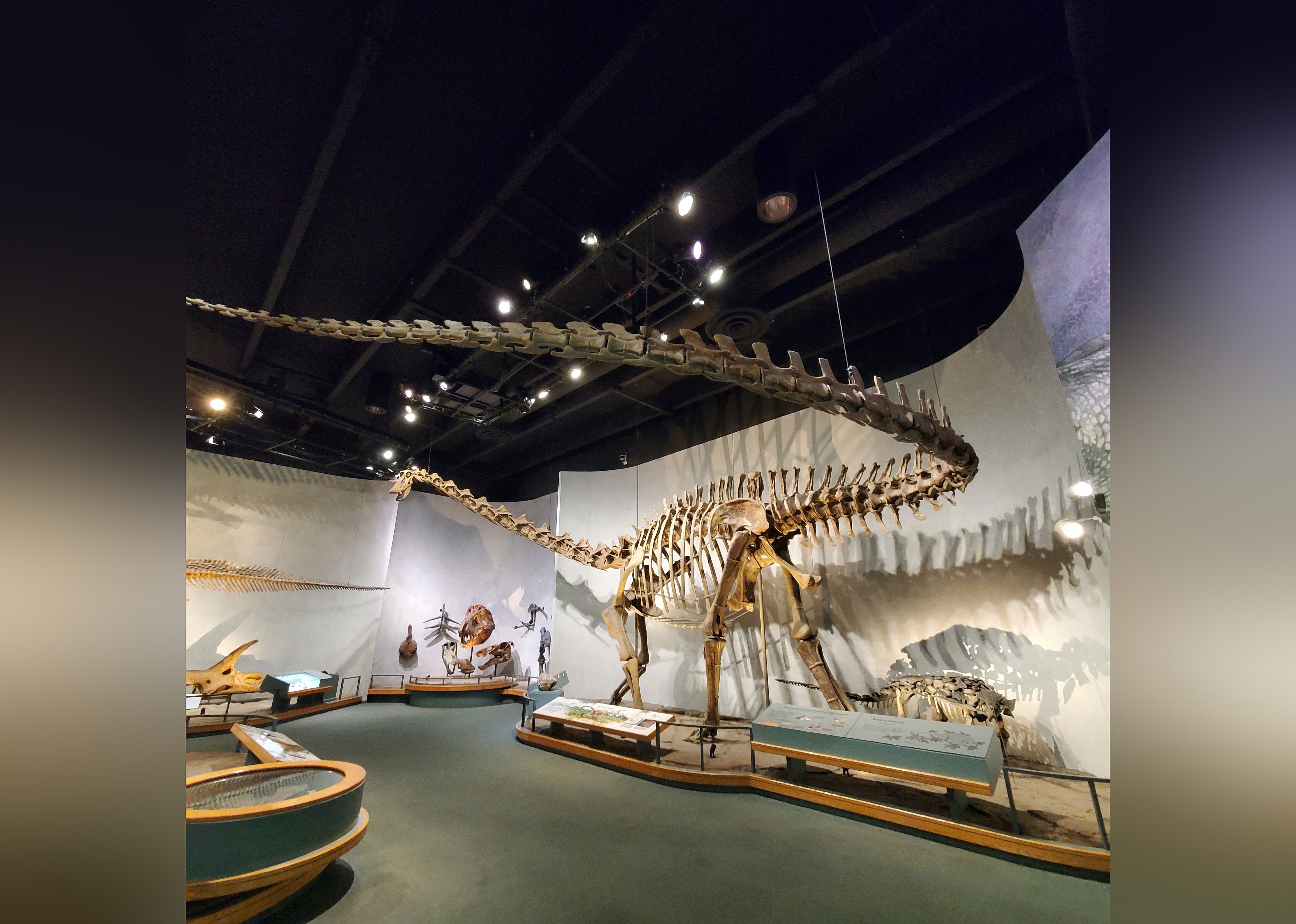 #2. Denver Museum Of Nature & Science