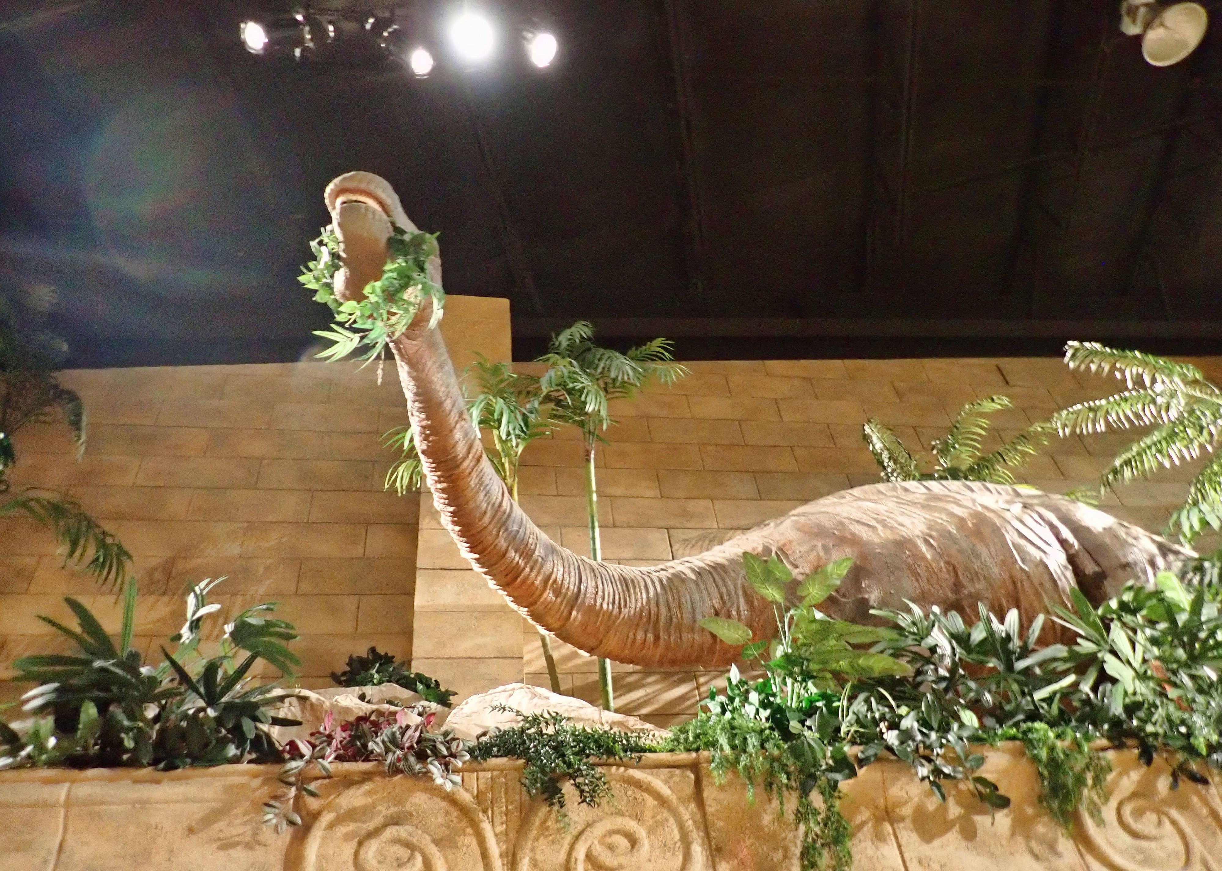 #12. Creation Museum