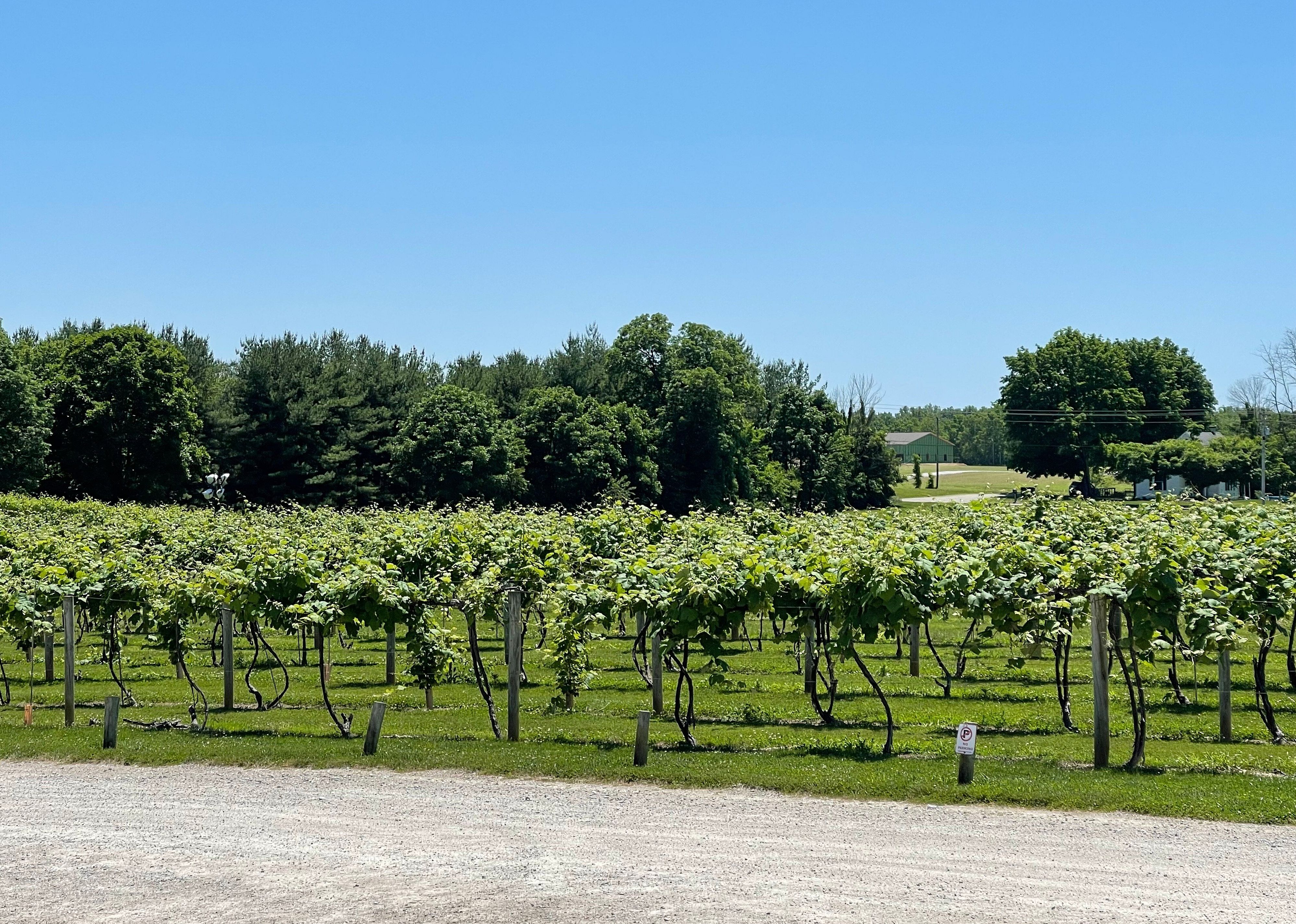 #26. Mallow Run Winery