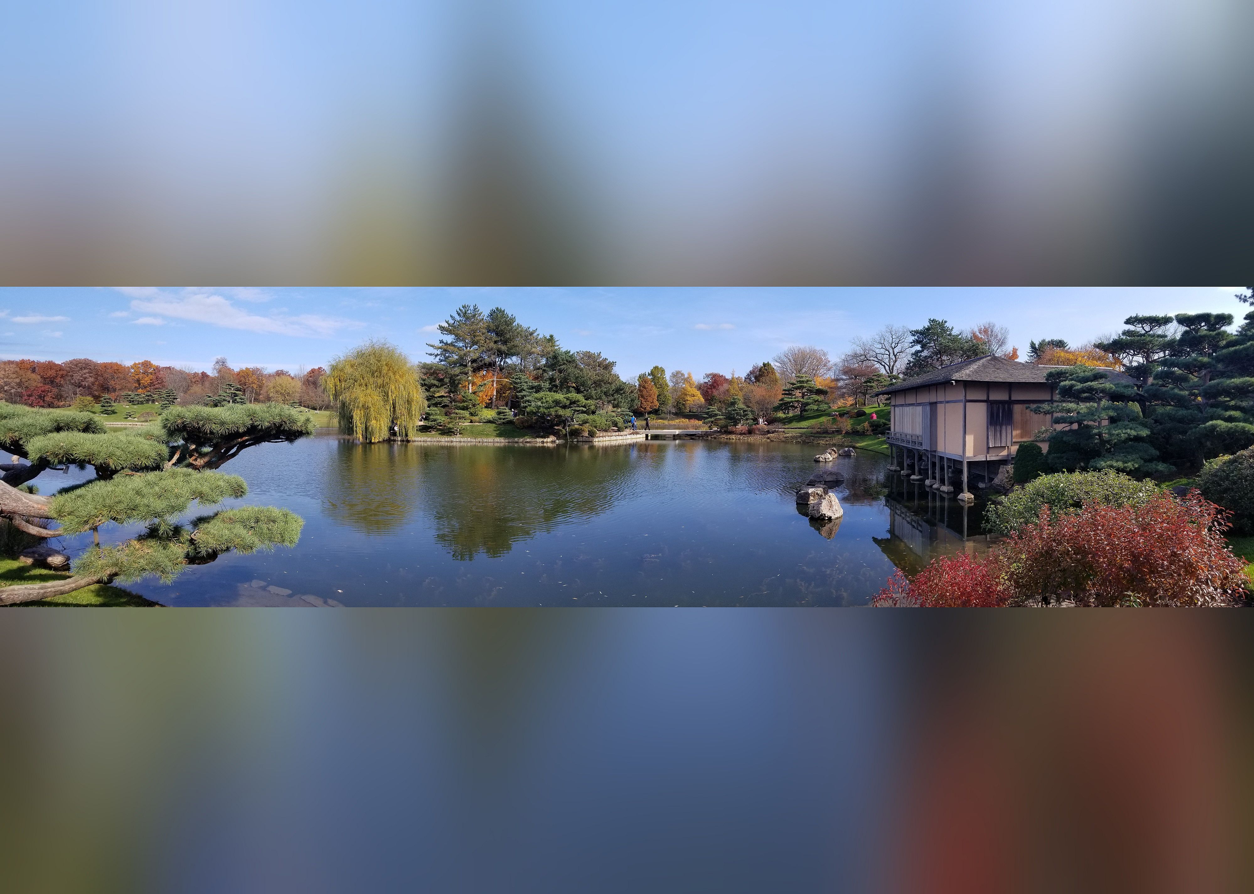 #25. Chicago Botanic Garden