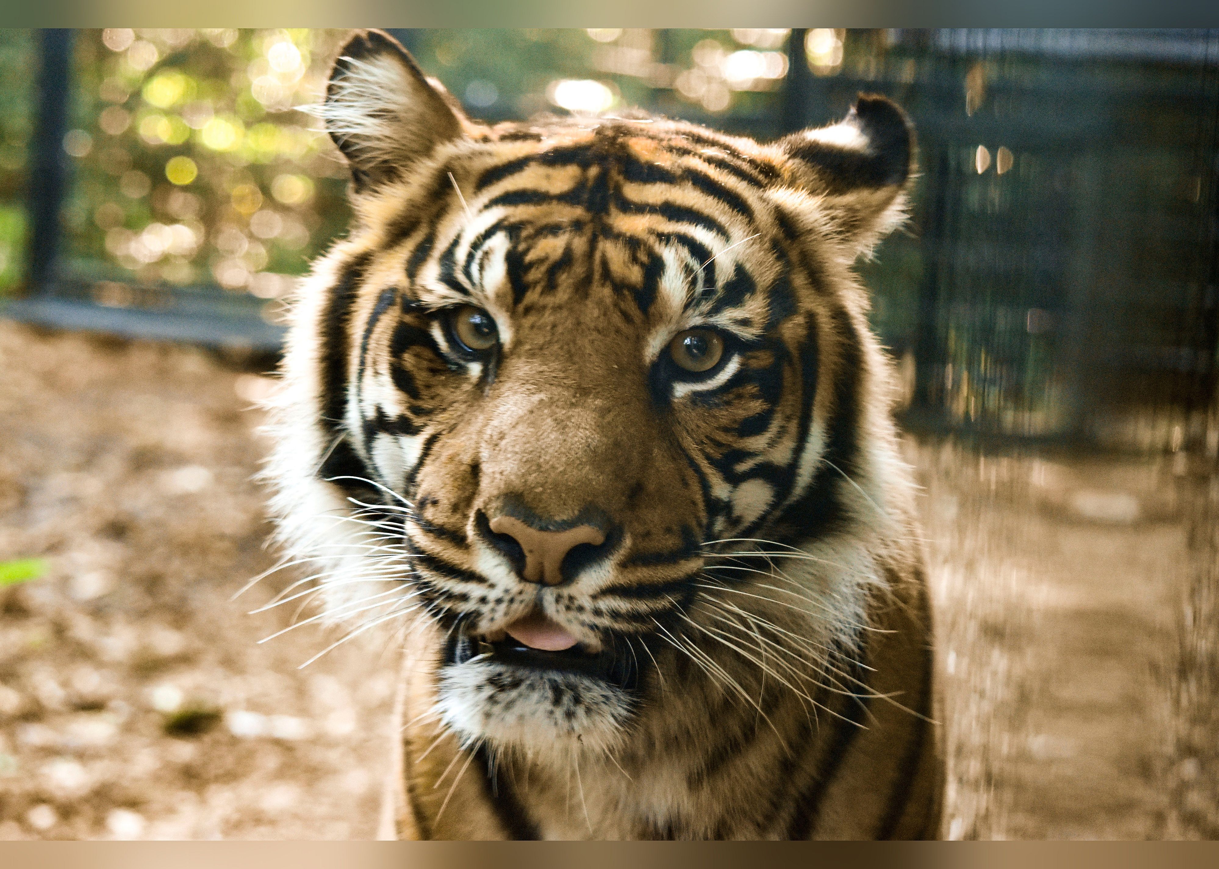 #18. Fort Wayne Zoo