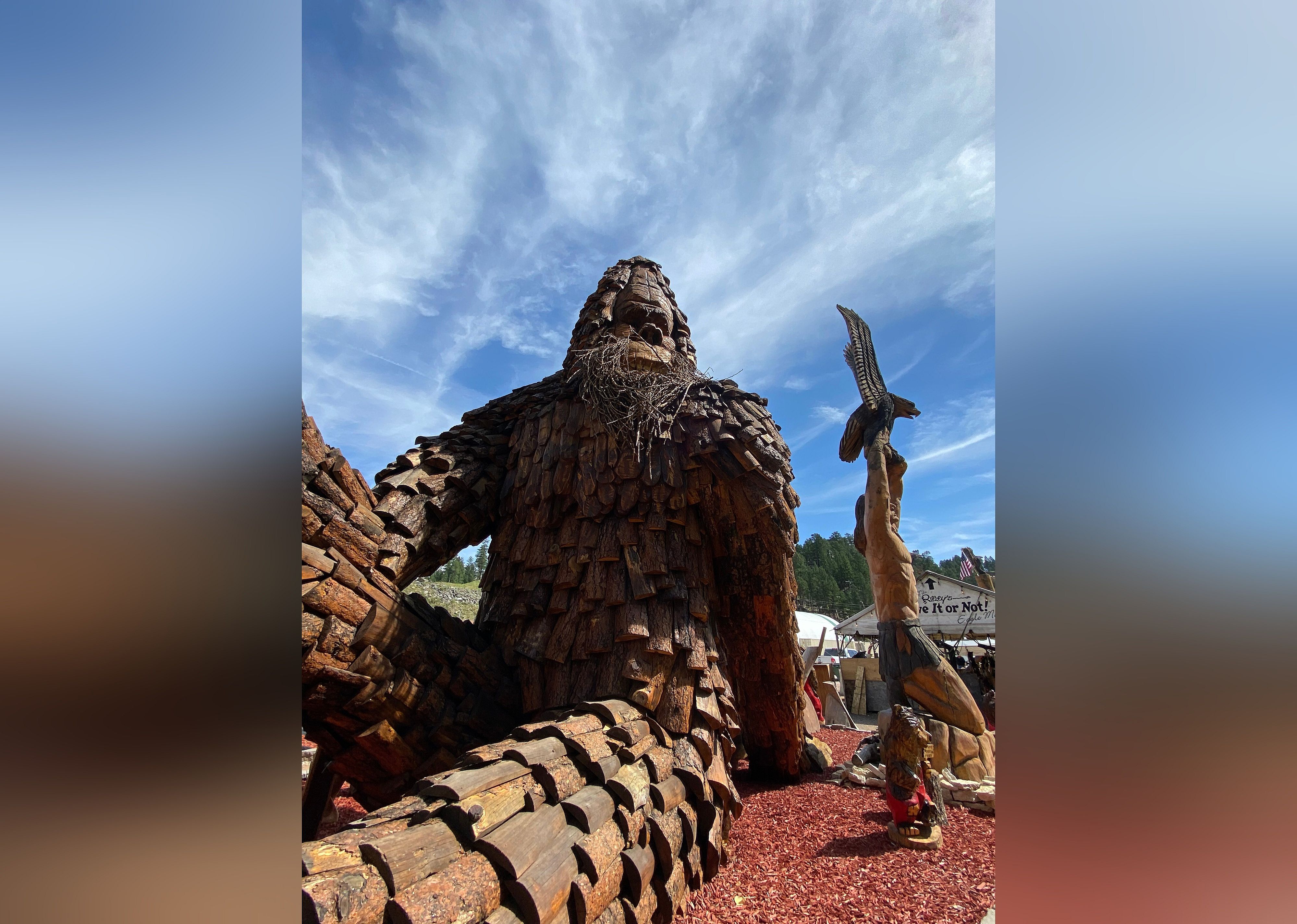 #25. Dahl's Chainsaw Art