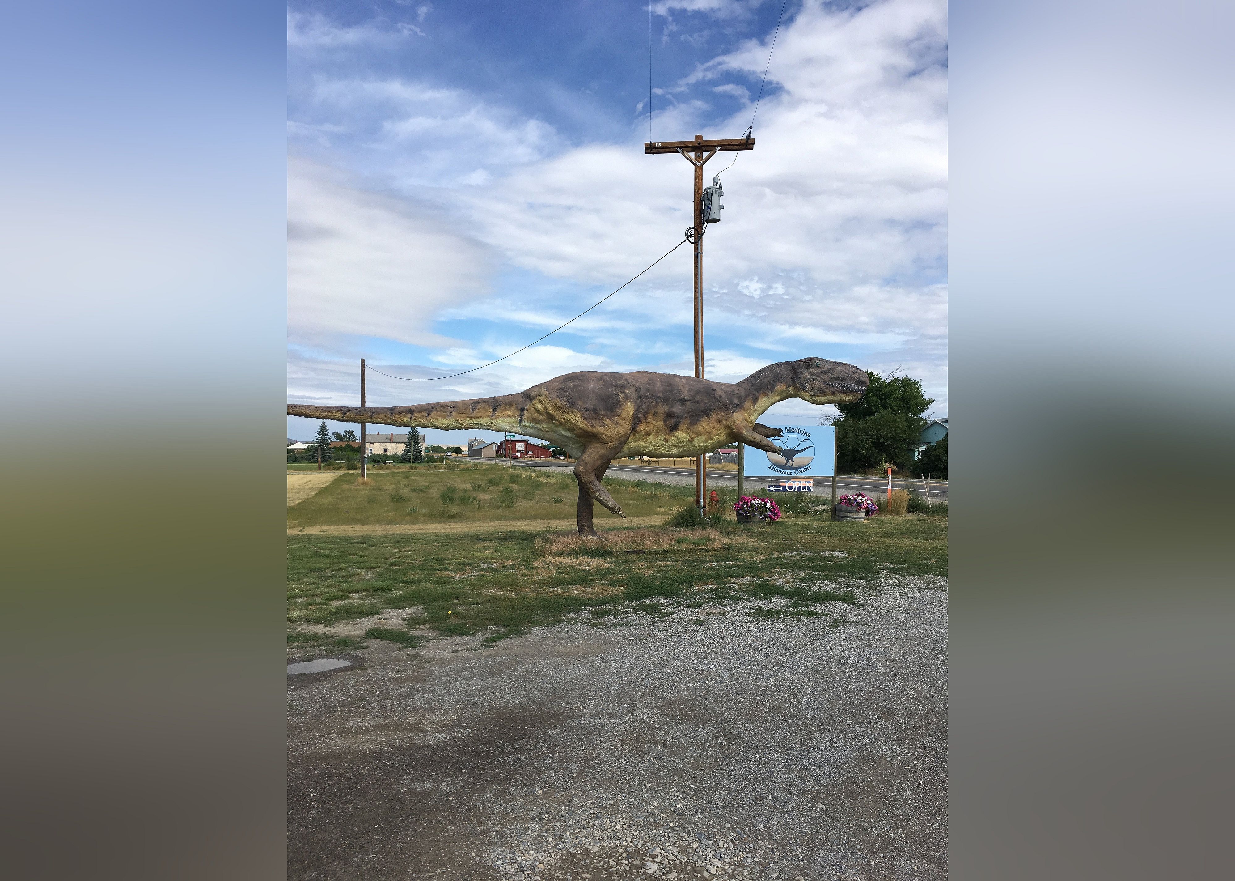 #16. The Montana Dinosaur Center