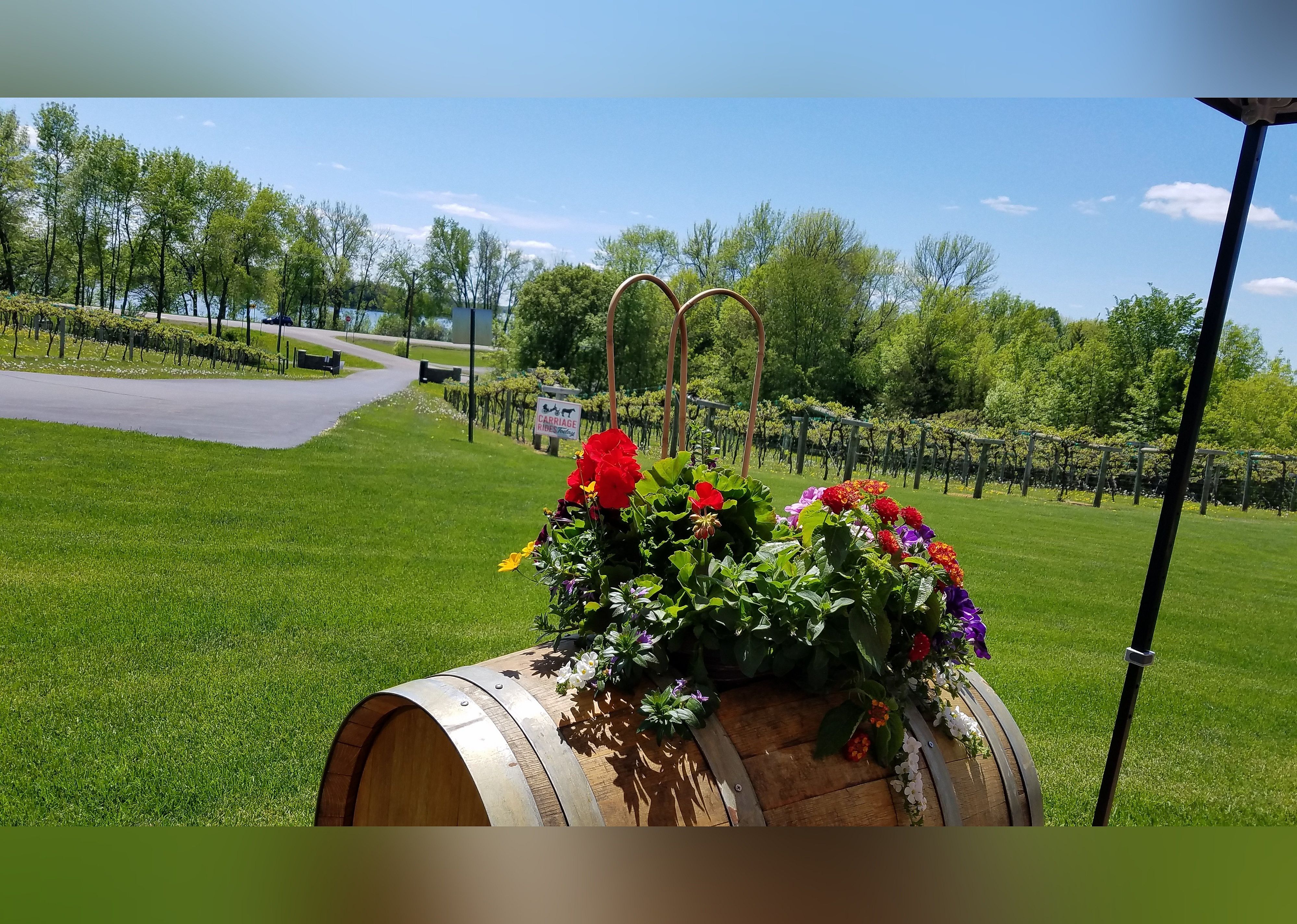 #4. WineHaven Winery and Vineyard