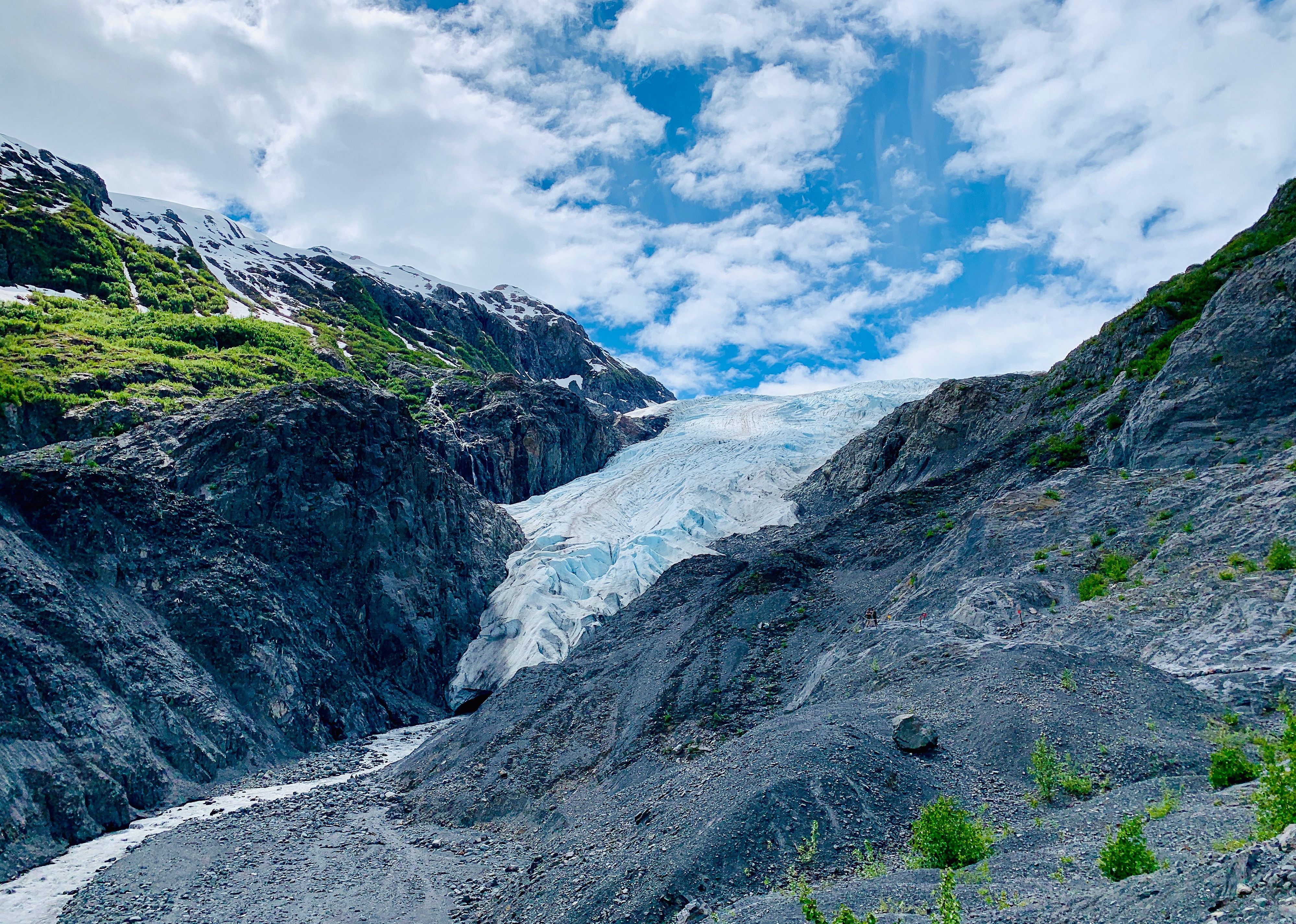 #27. Exit Glacier