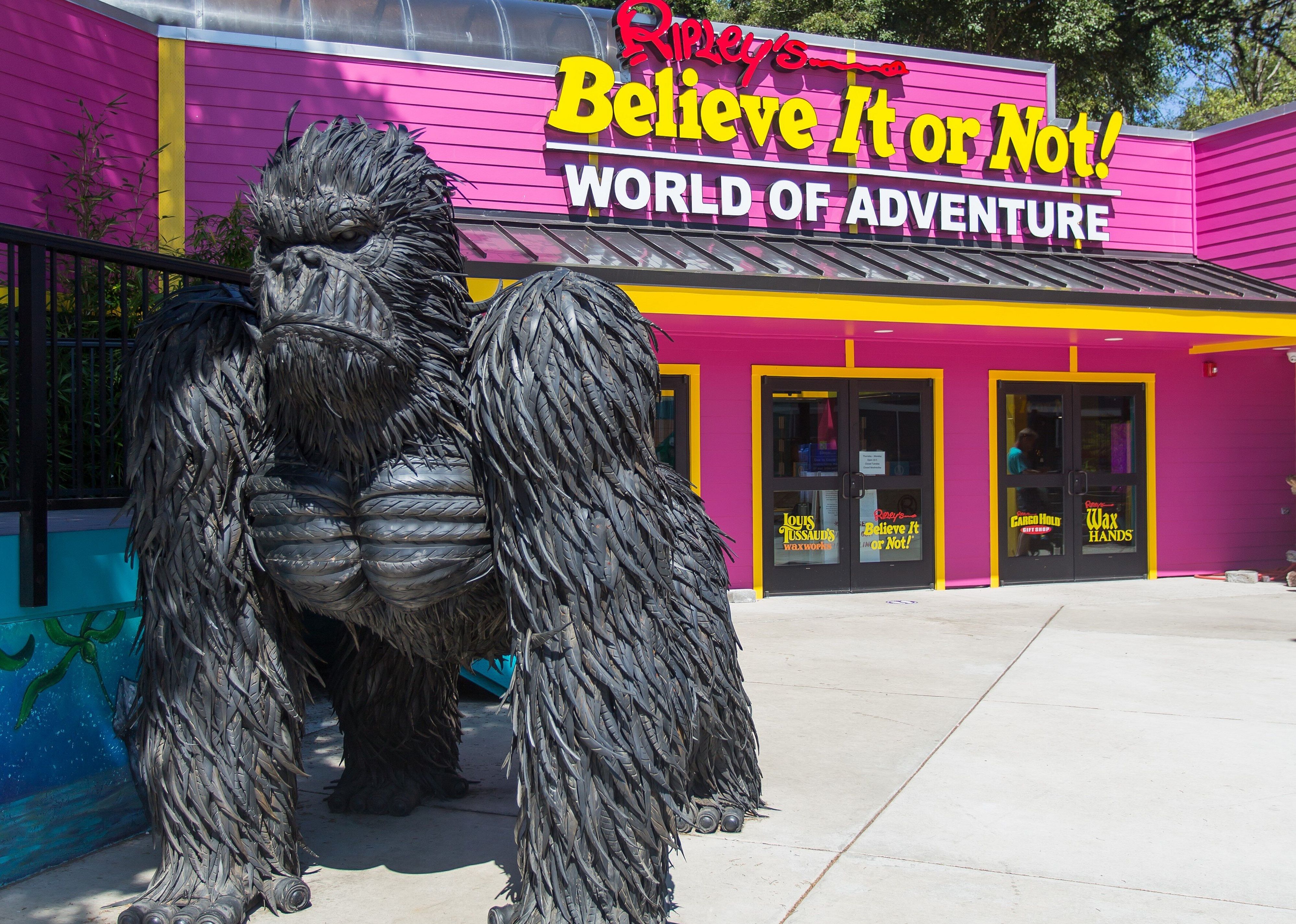 #13. Ripley's Believe It or Not!