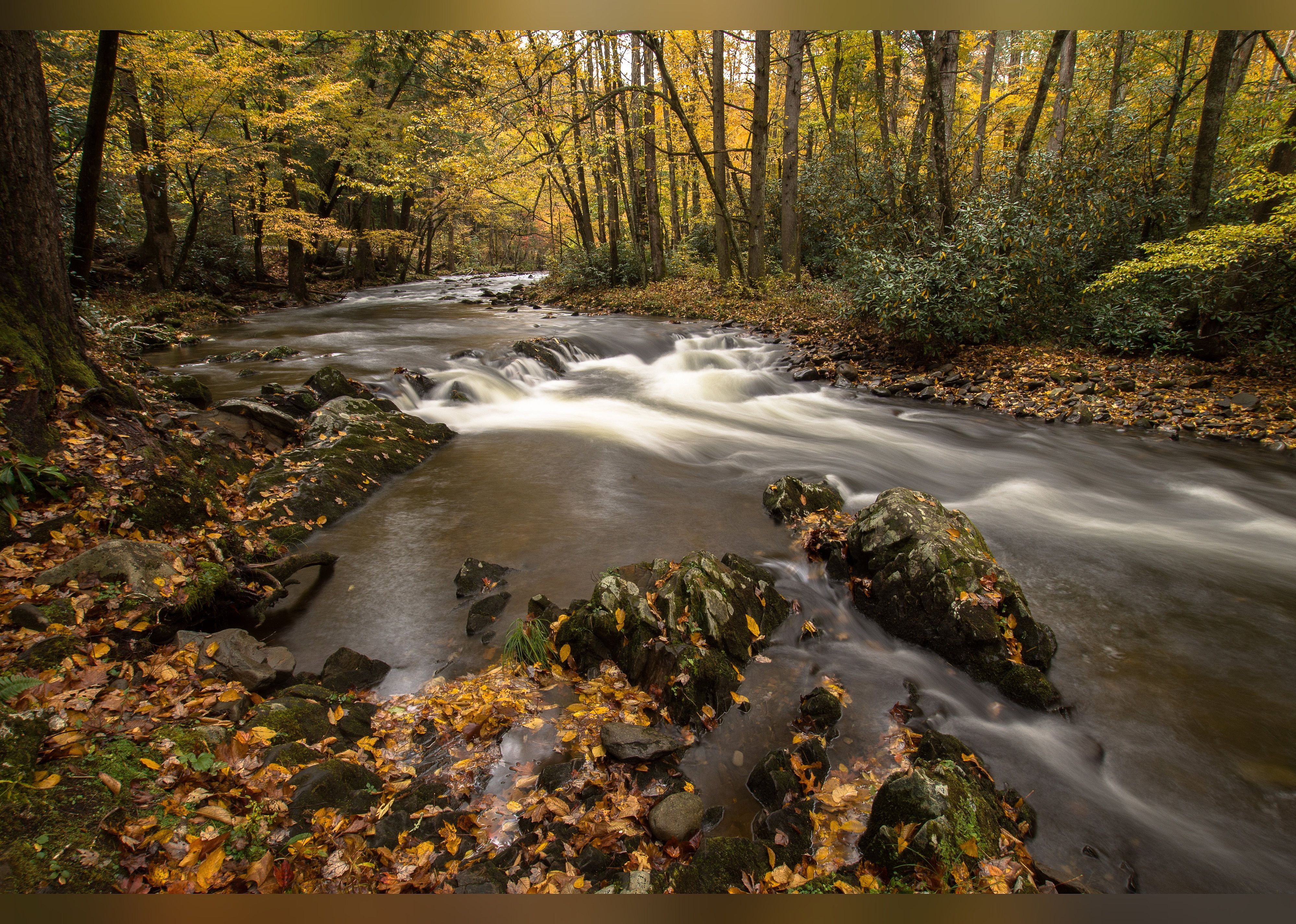 #5. Little River Road