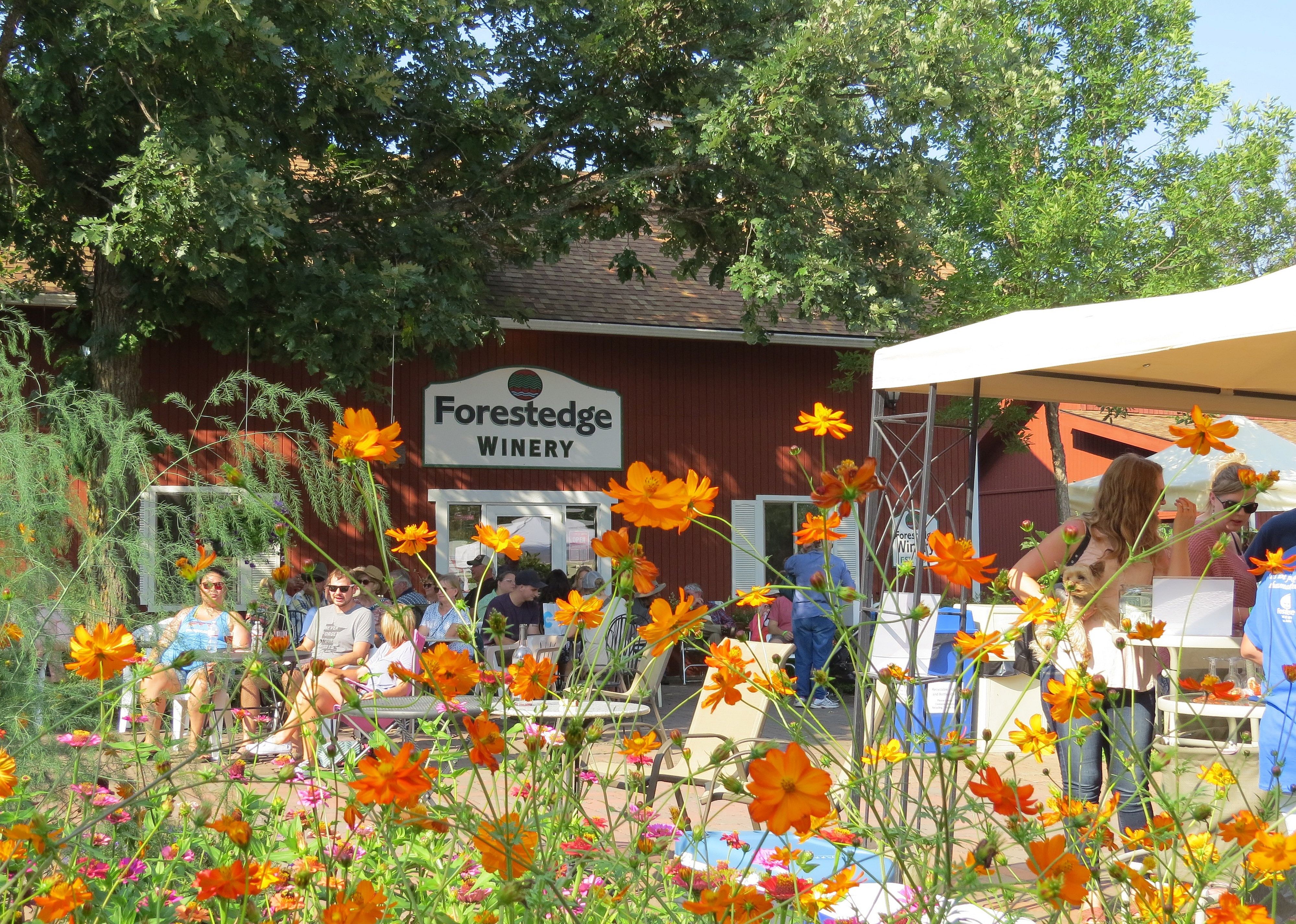 #22. Forestedge Winery
