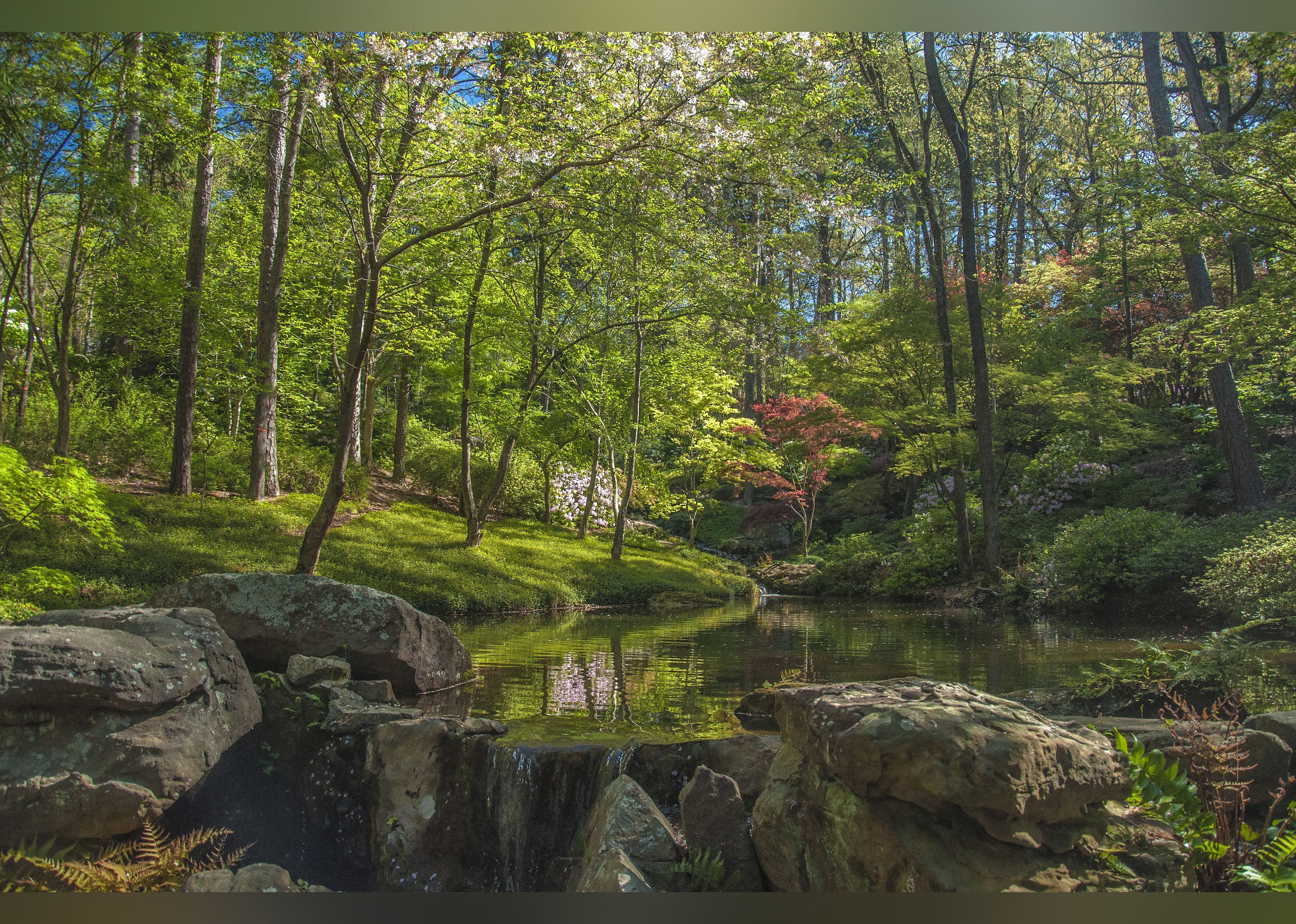 #1. Garvan Woodland Gardens
