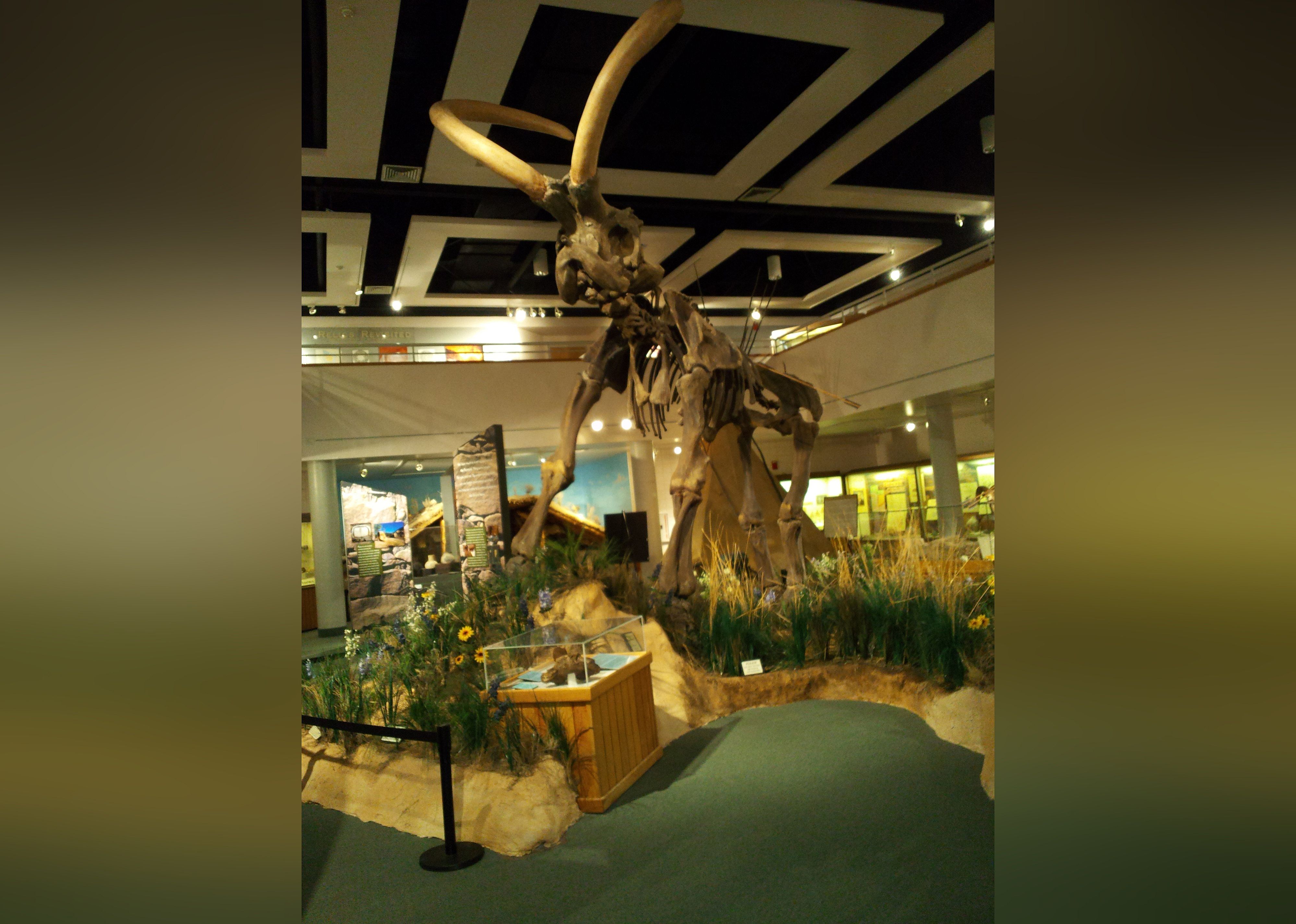 #14. Utah State University Eastern Prehistoric Museum