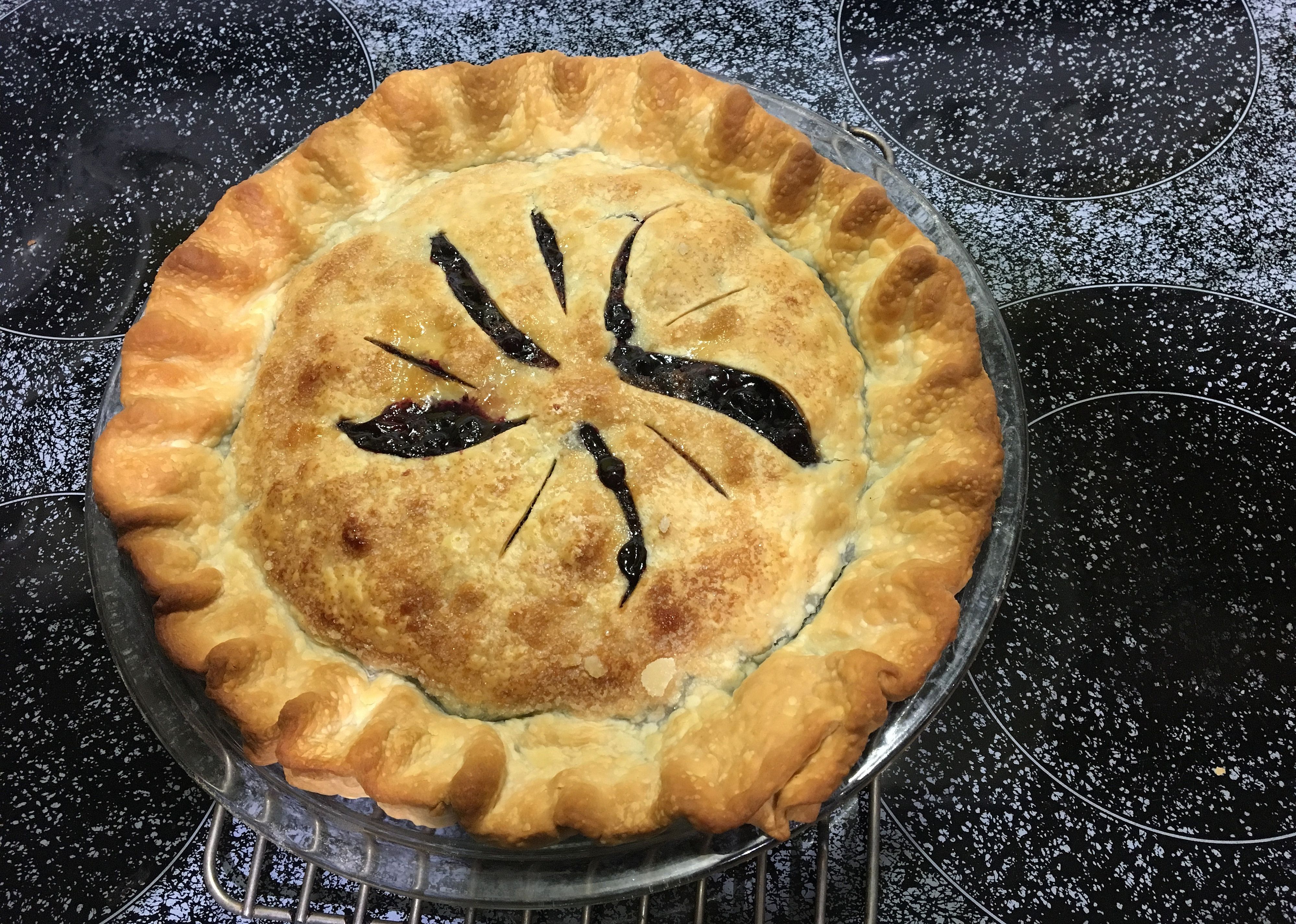 Concord Grape Pie I
