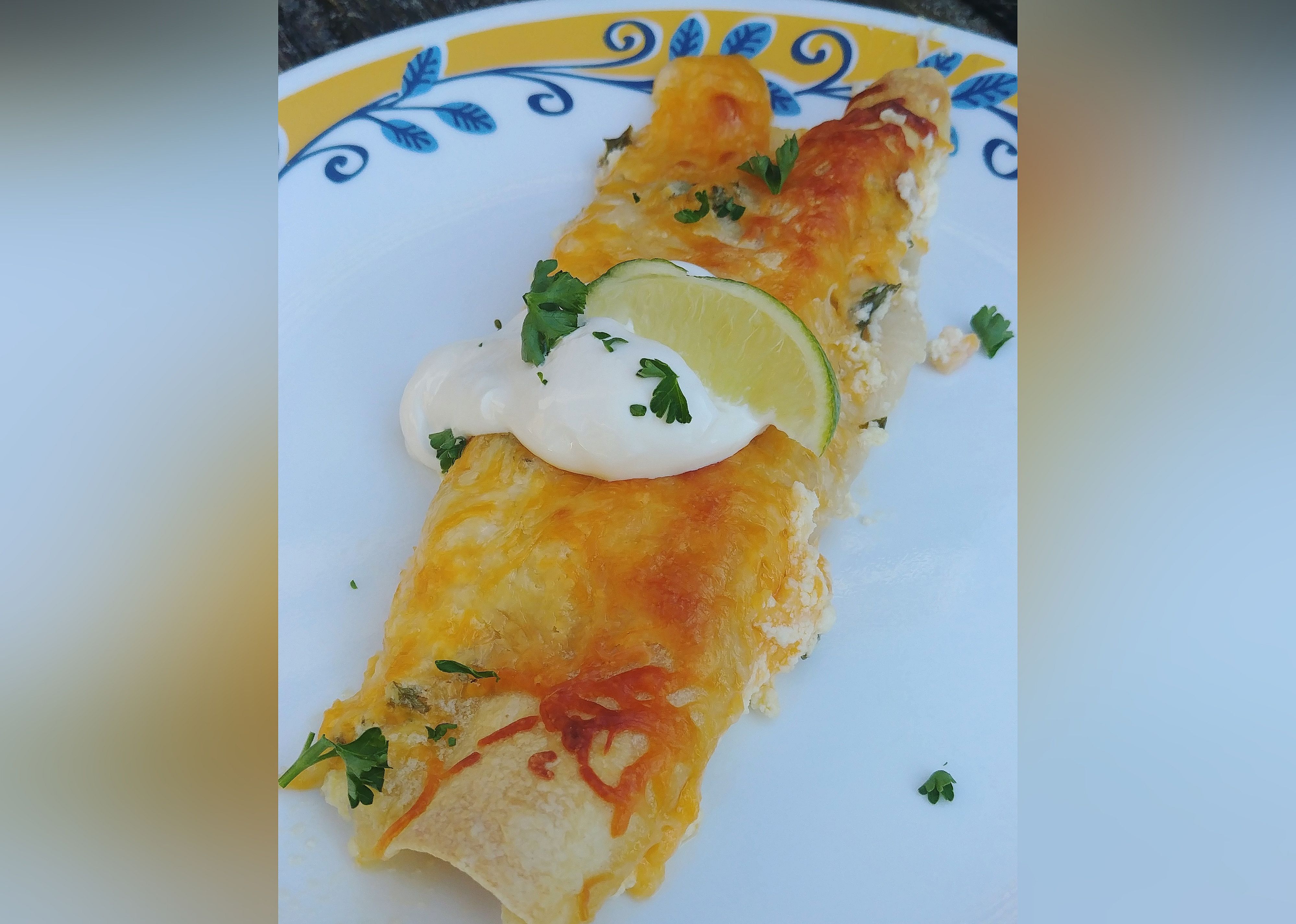 Seafood Enchiladas