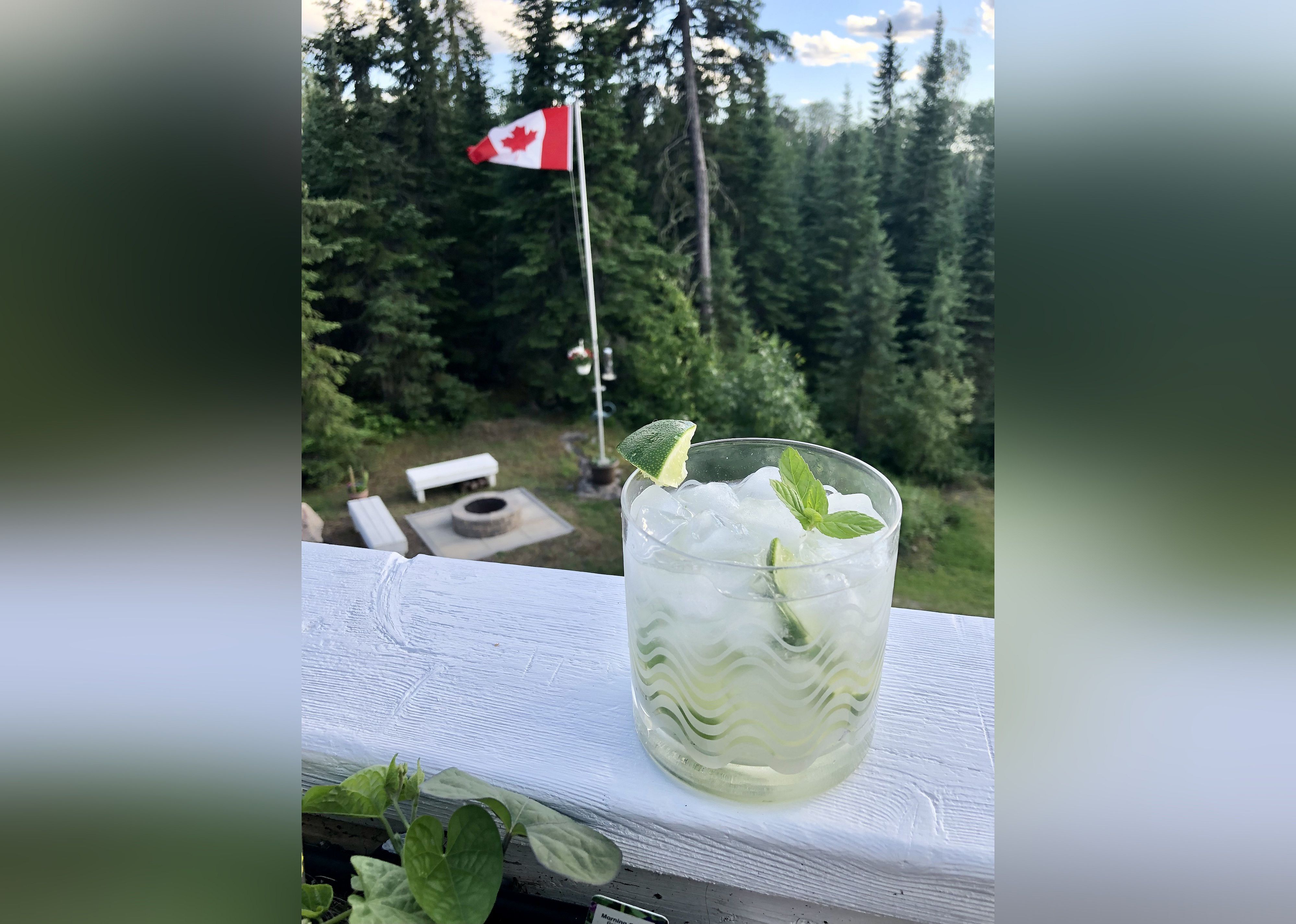 The Real Mojito