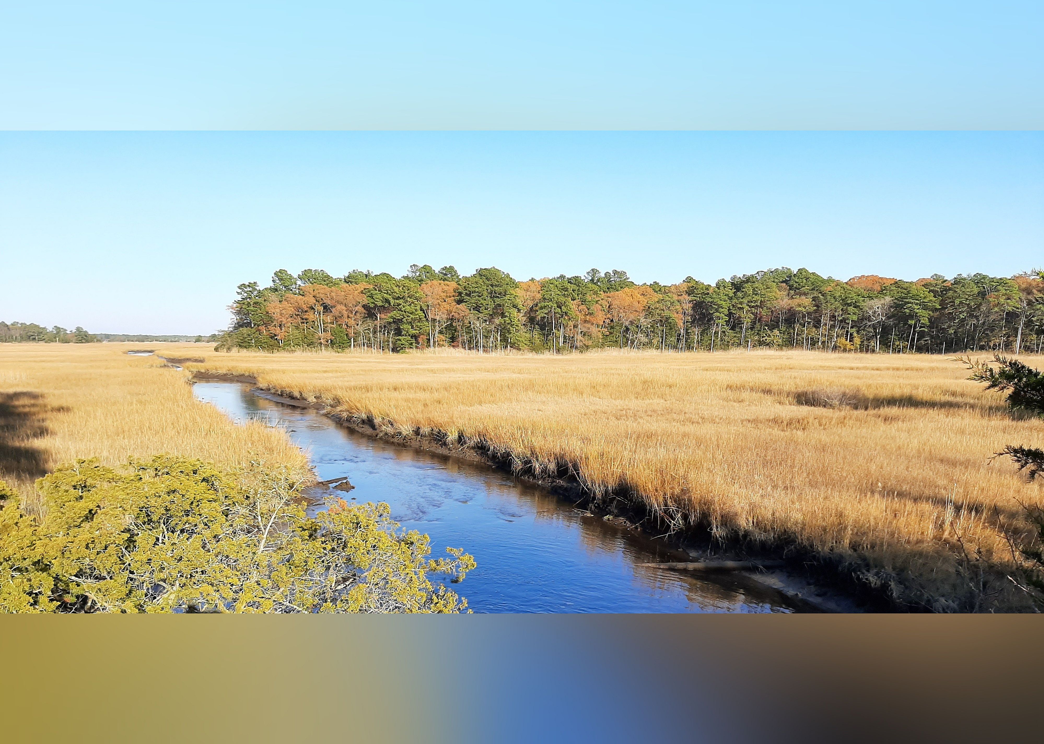 #17. Junction and Breakwater Trail
