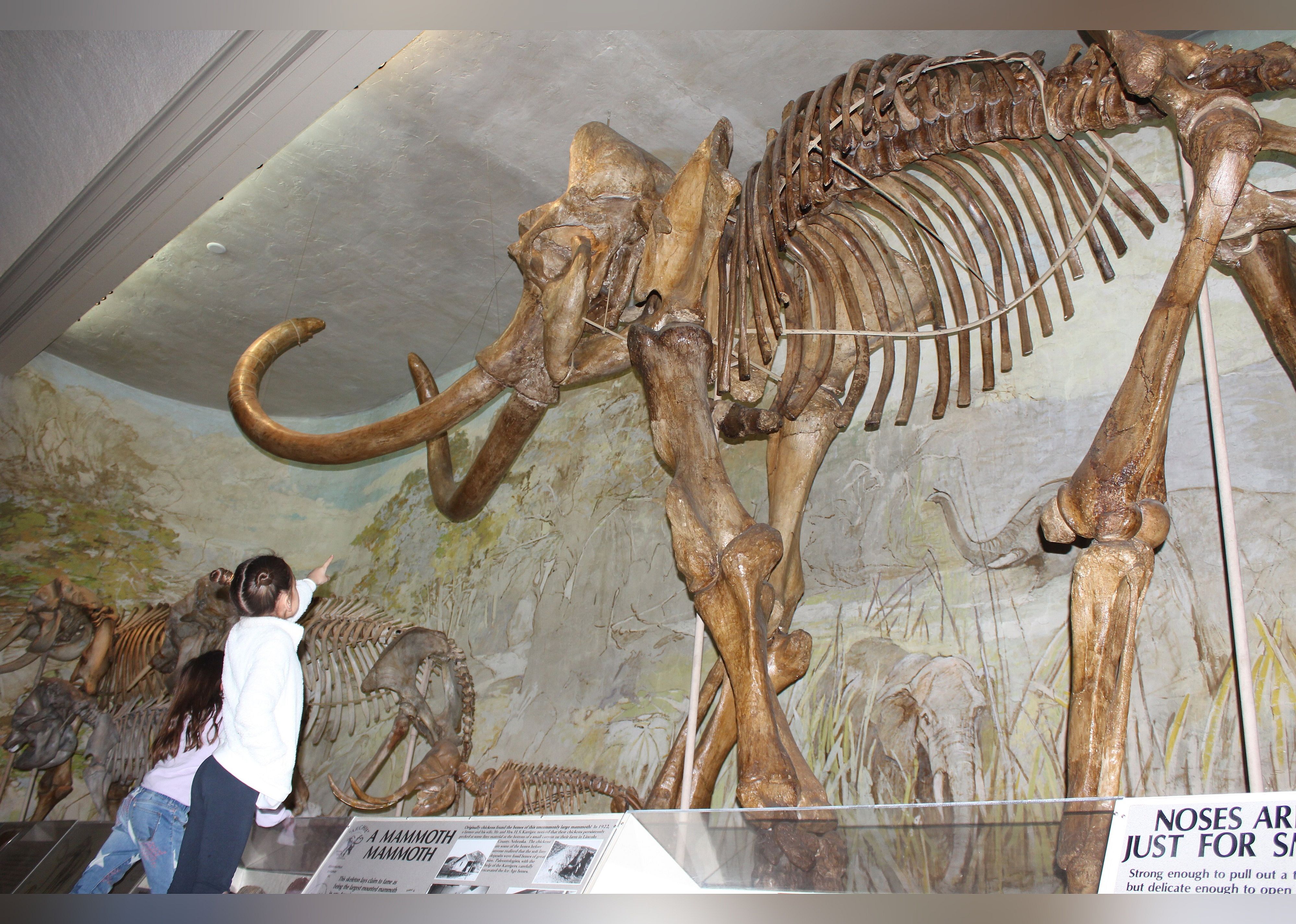 #9. University Of Nebraska State Museum