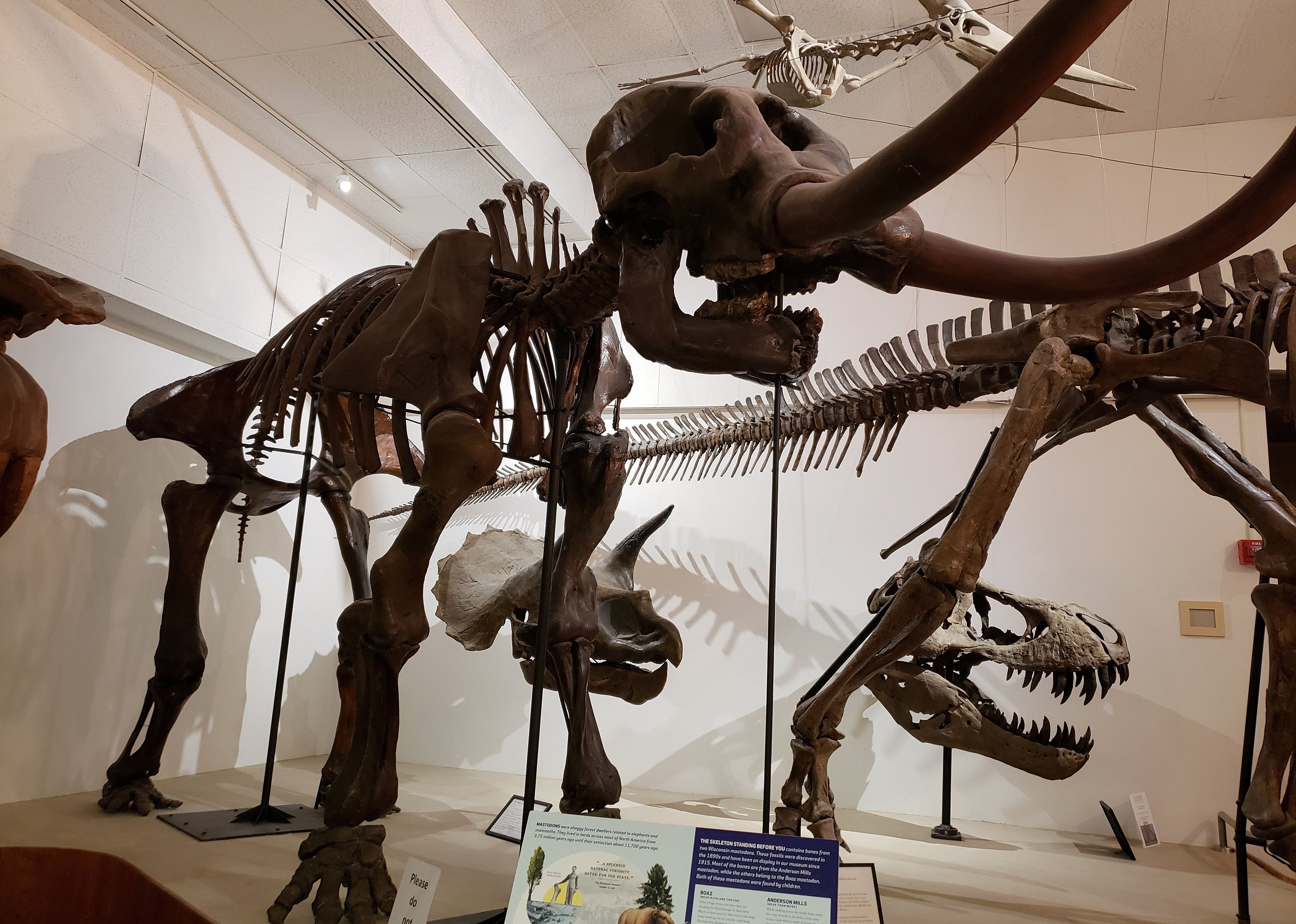 #25. University of Wisconsin Geology Museum