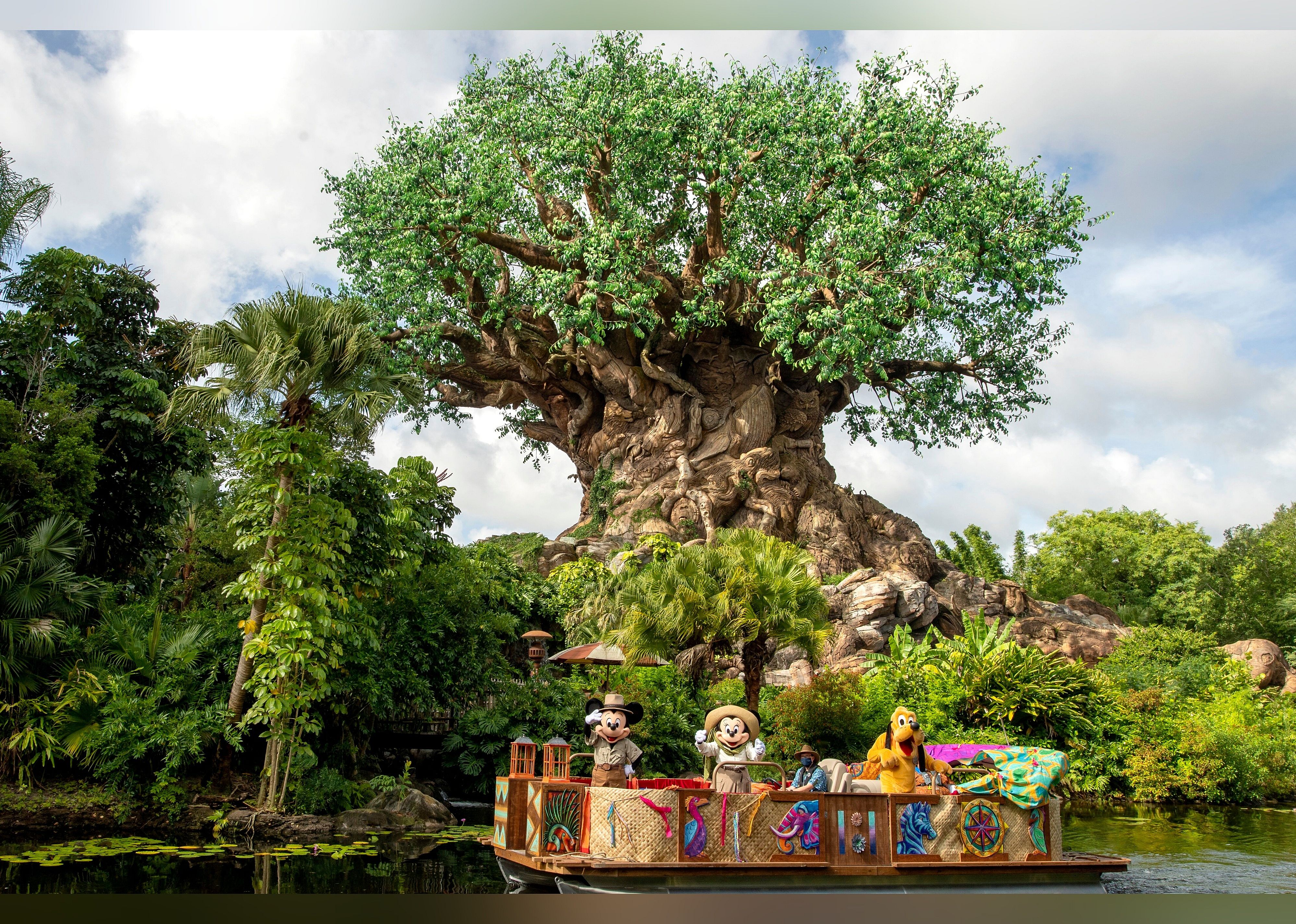 #10. Disney's Animal Kingdom Theme Park