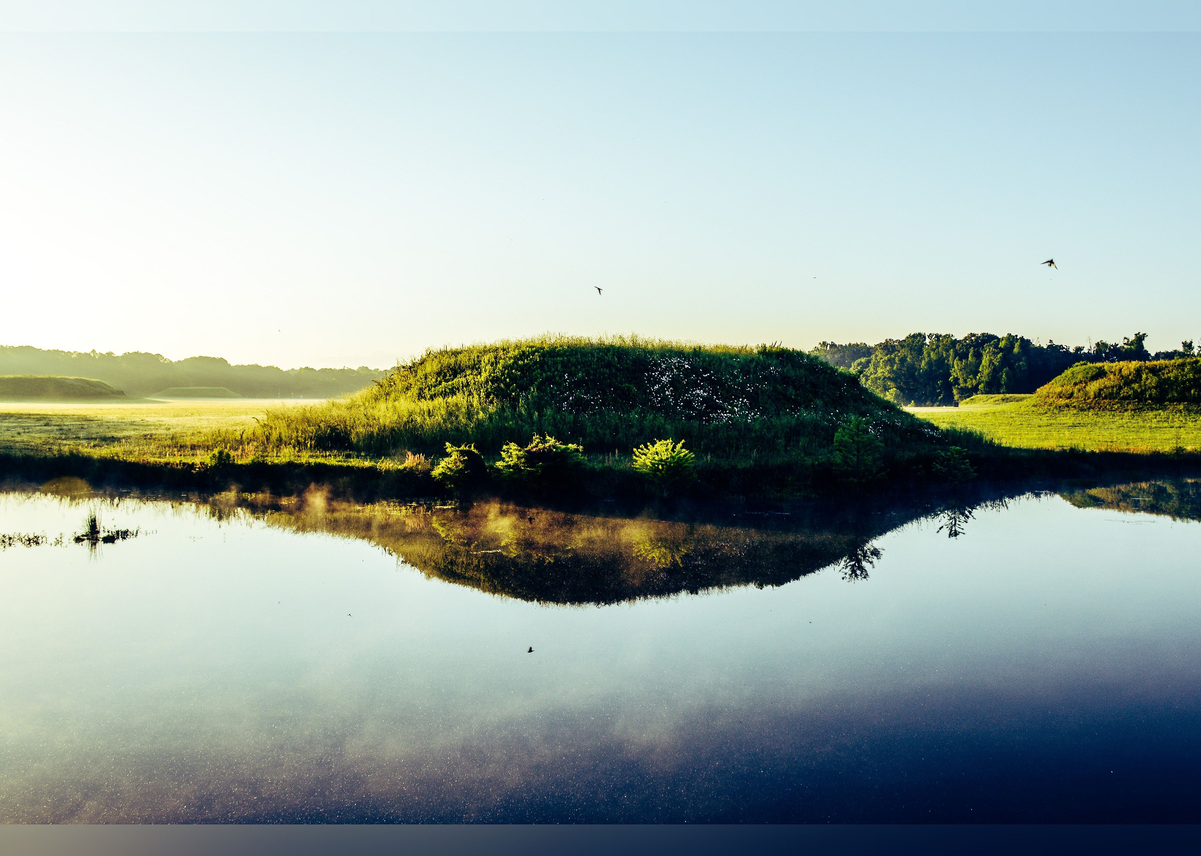 #19. Moundville Archaeological Park