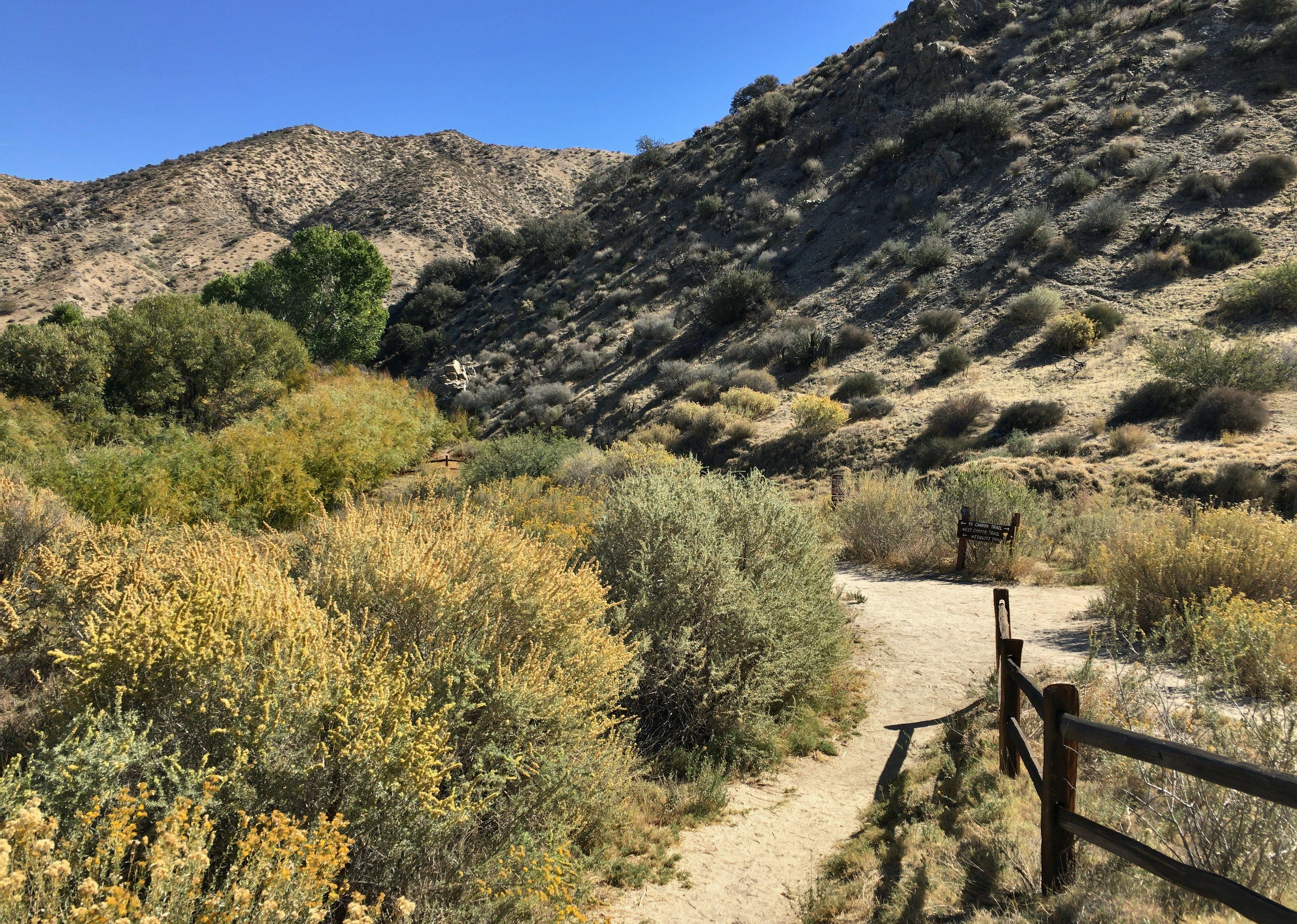 #30. Big Morongo Canyon Preserve