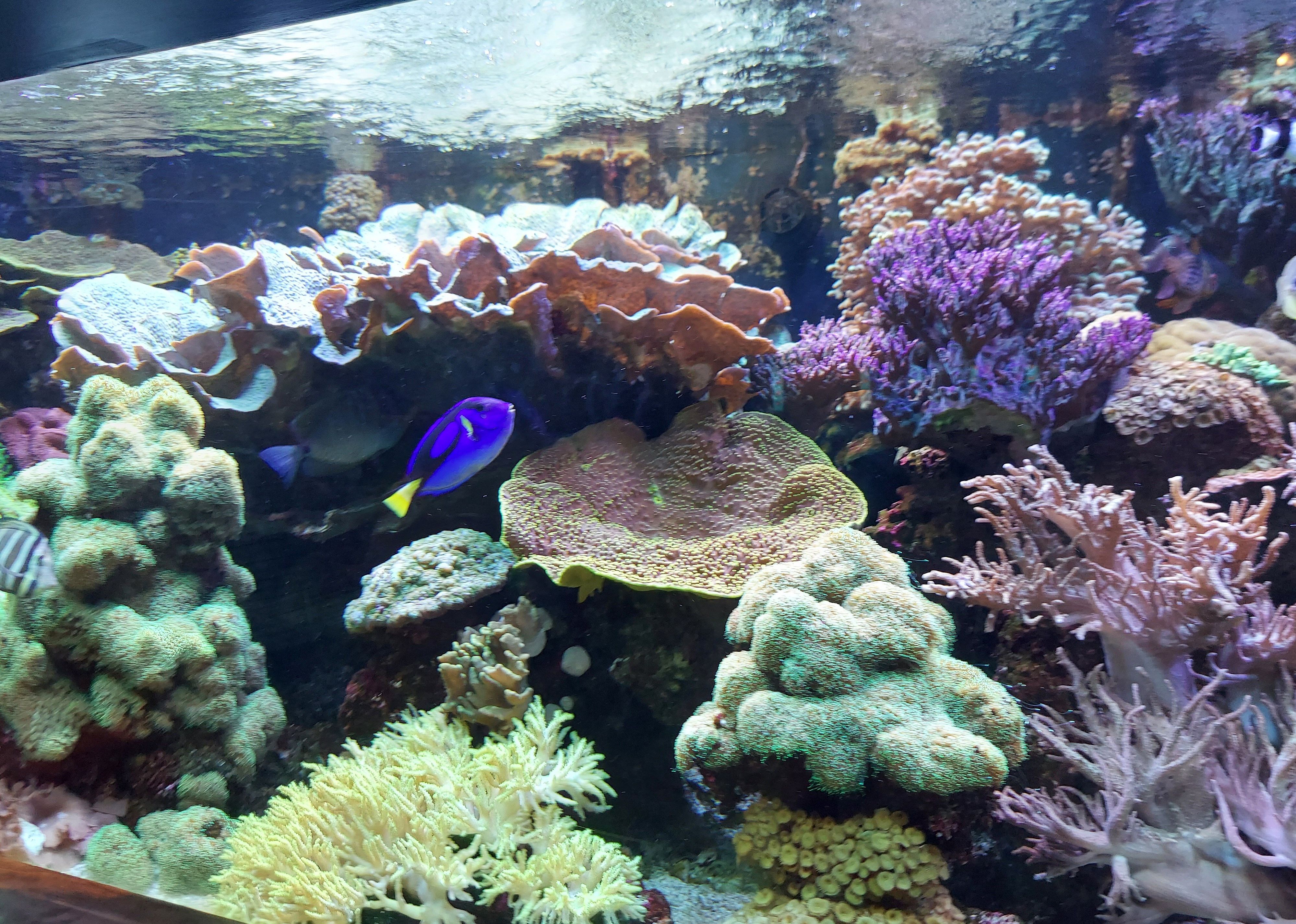 #12. Oklahoma Aquarium