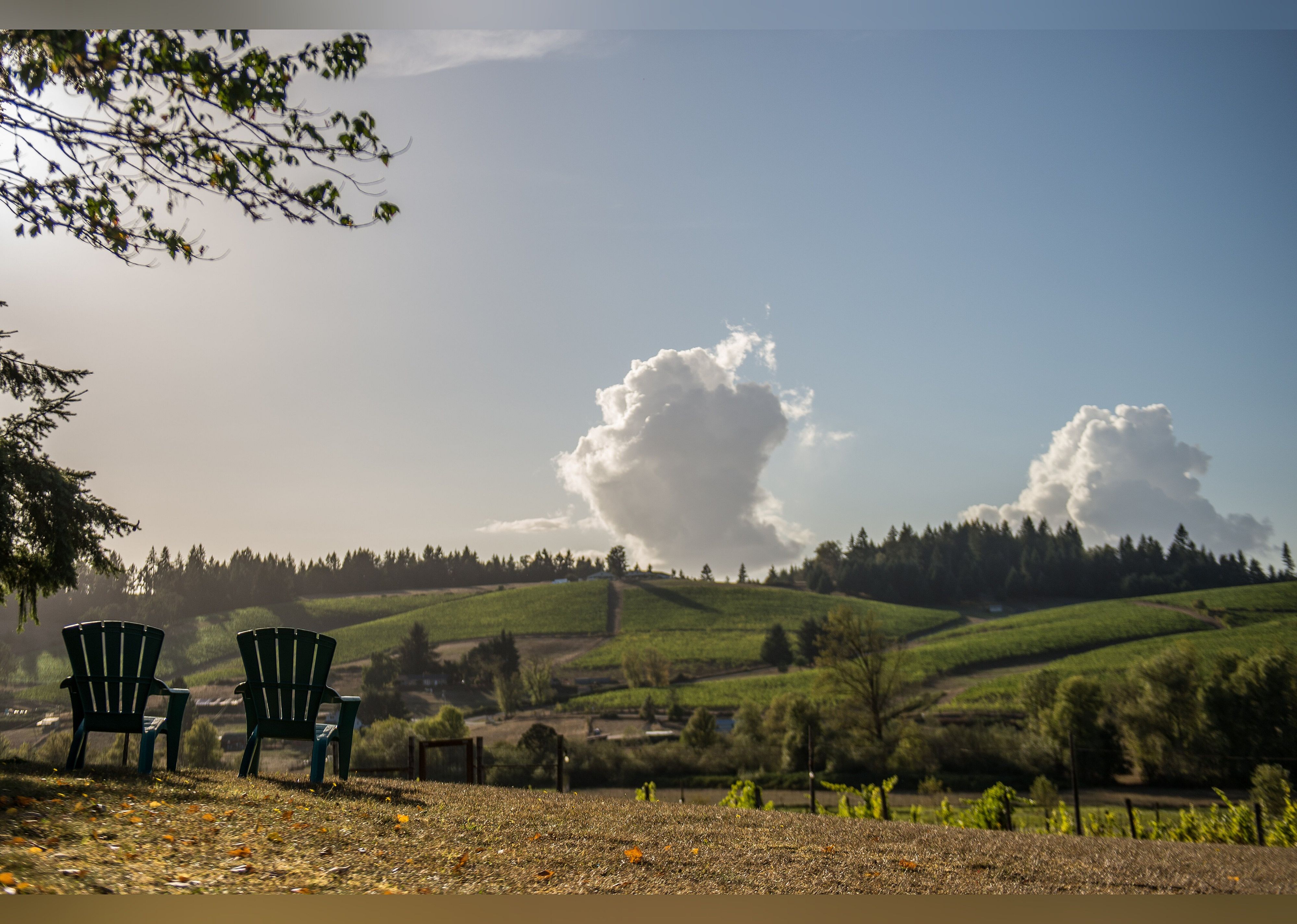 #19. Silvan Ridge Winery