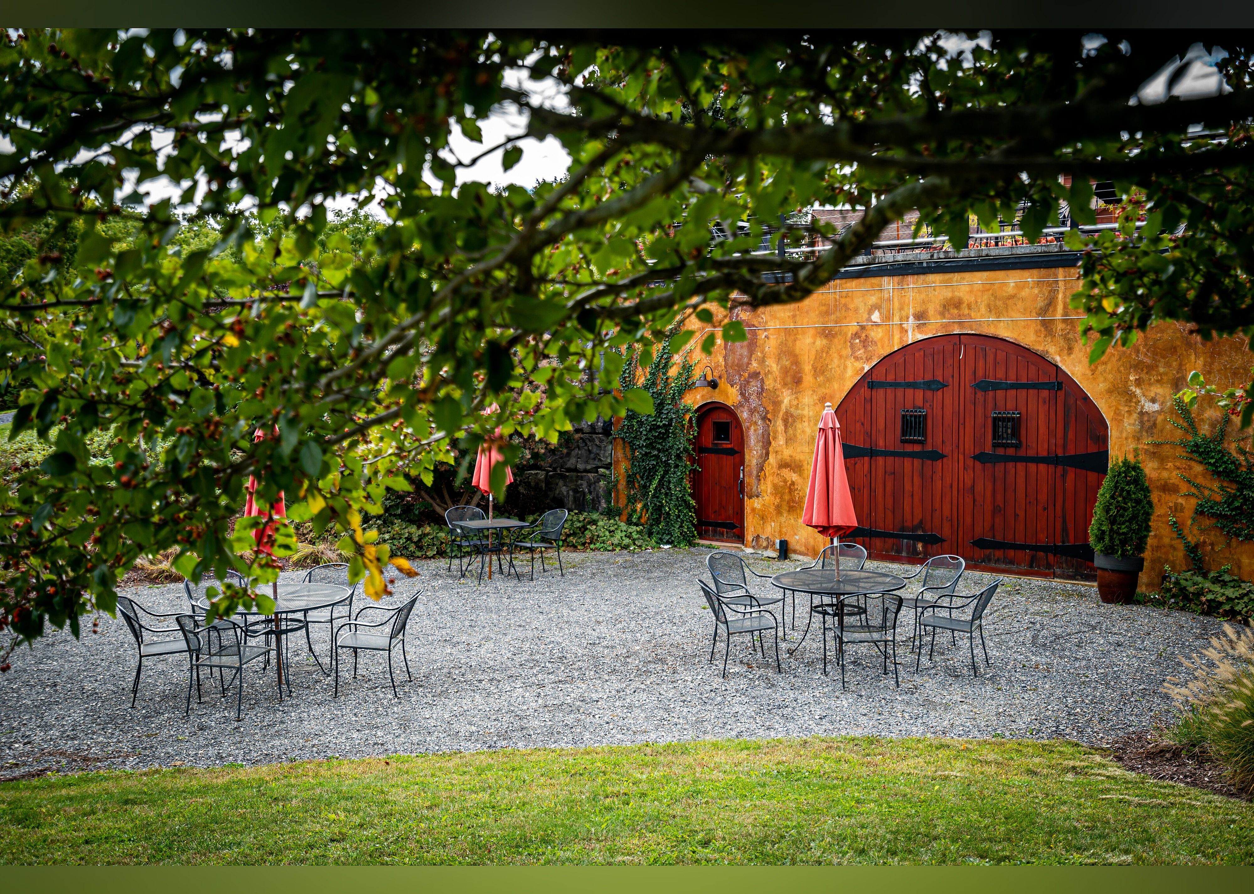 #20. Anyela's Vineyards
