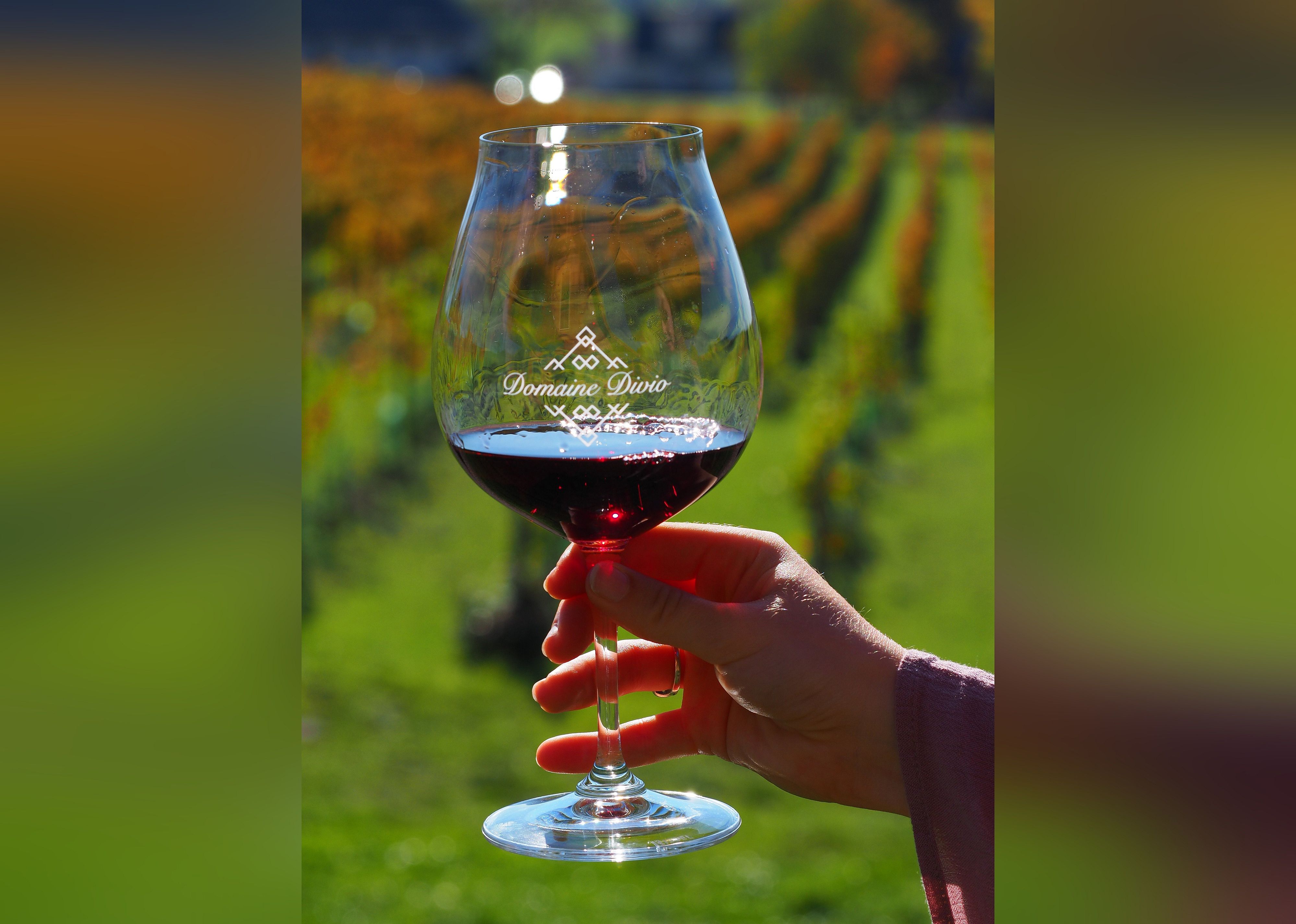 #20. Domaine Divio