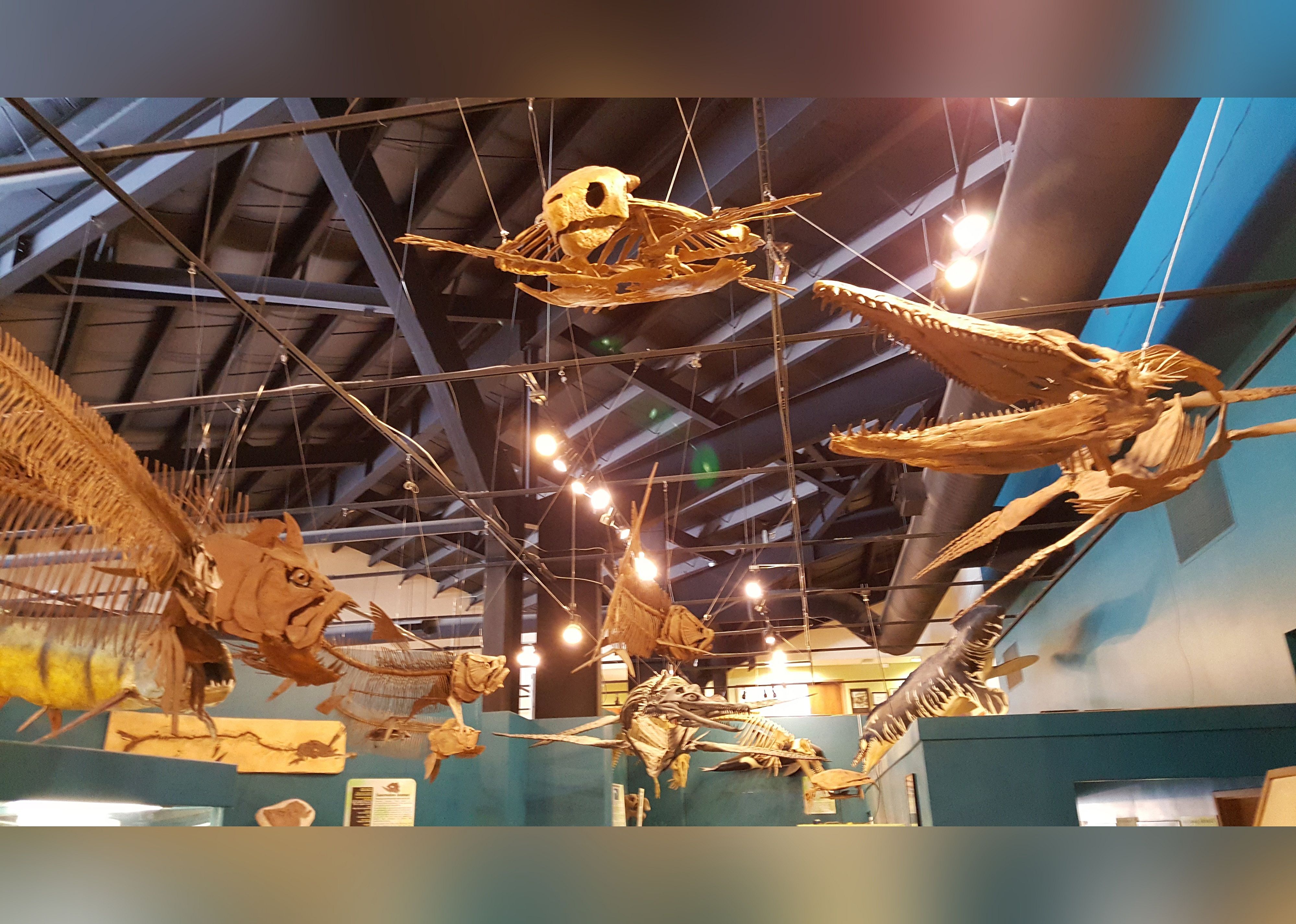 #18. Rocky Mountain Dinosaur Resource Center
