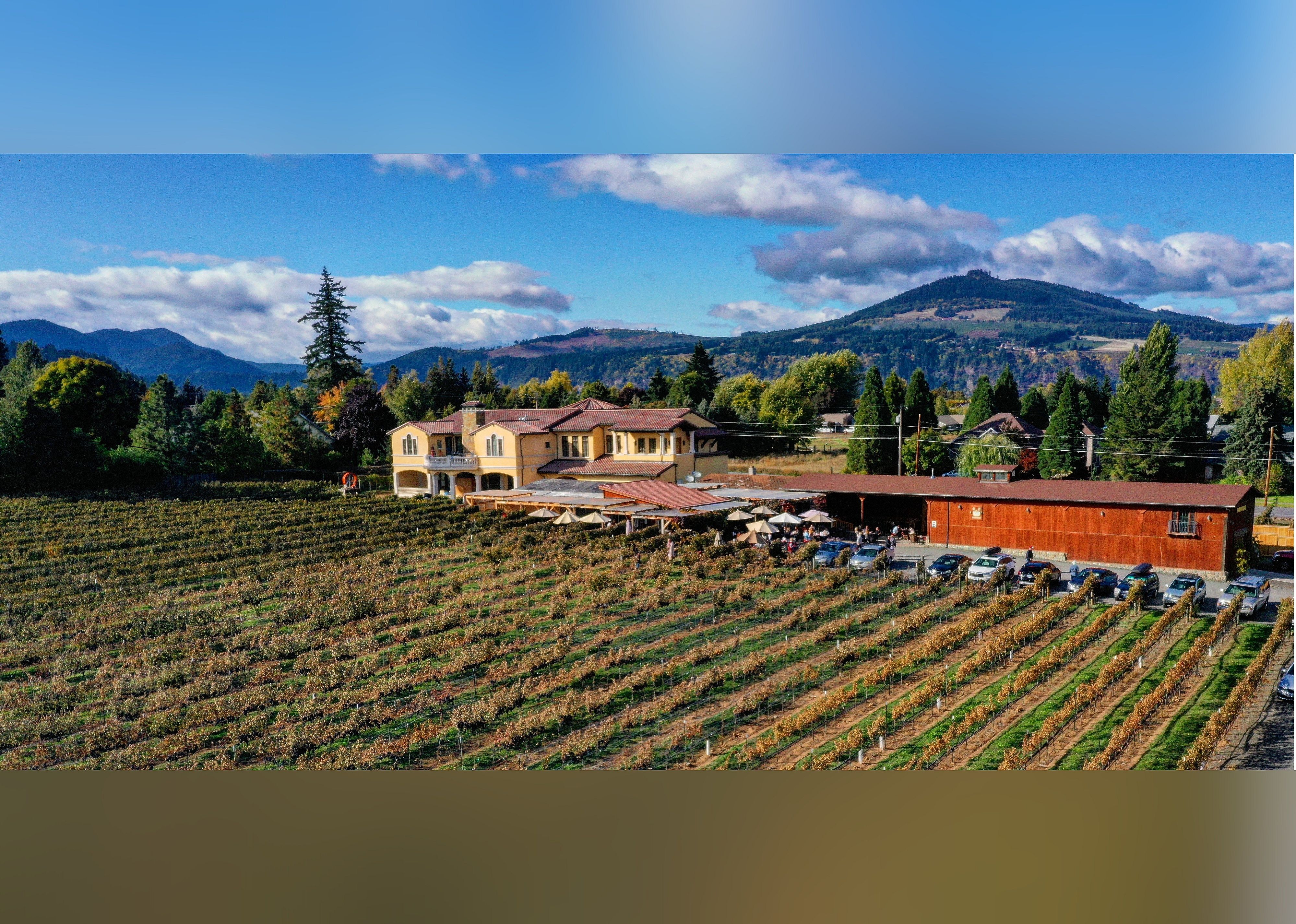 #6. Marchesi Vineyards