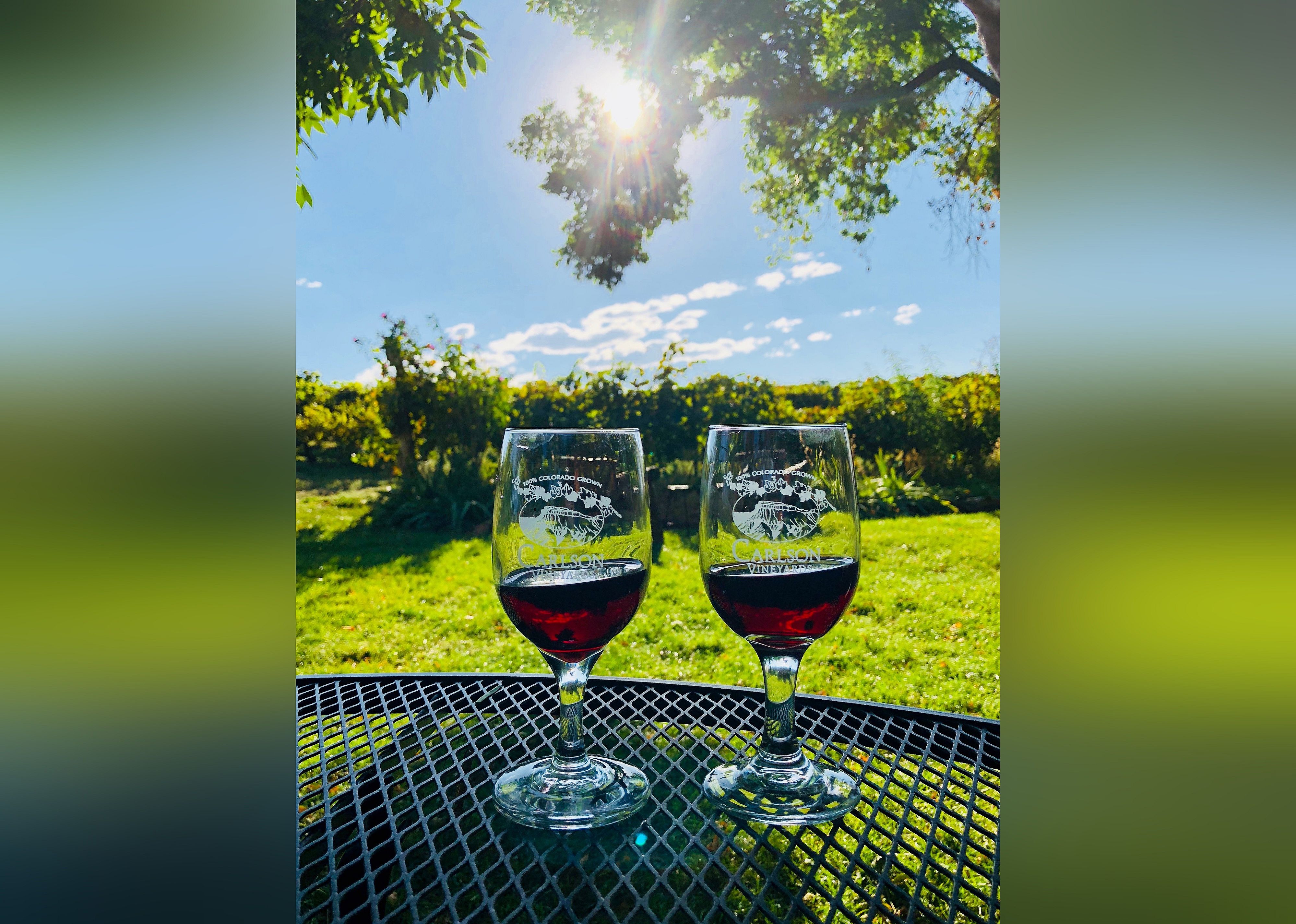 #7. Carlson Vineyards Winery & Tasting Room