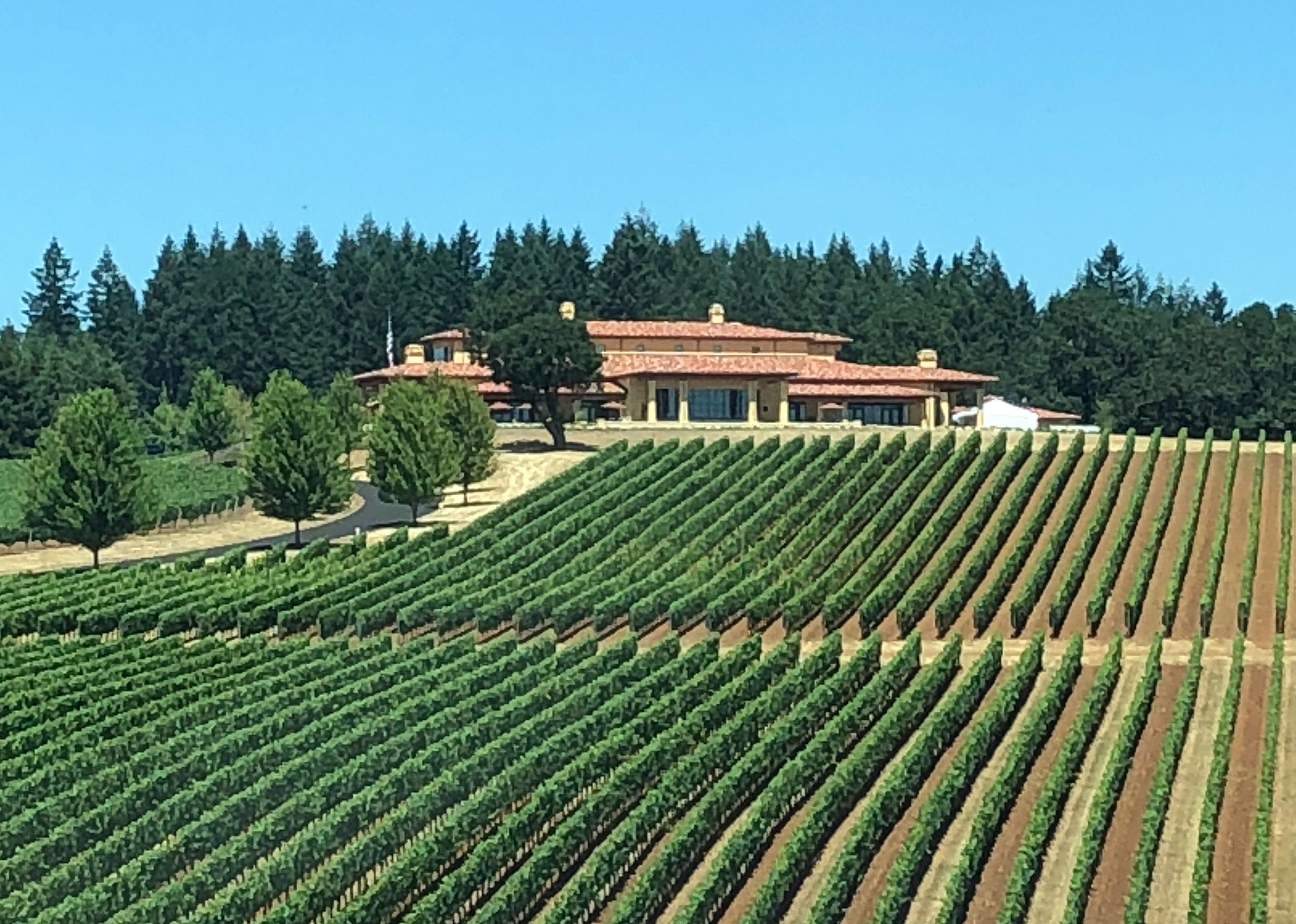 #3. Domaine Serene Vineyards & Winery