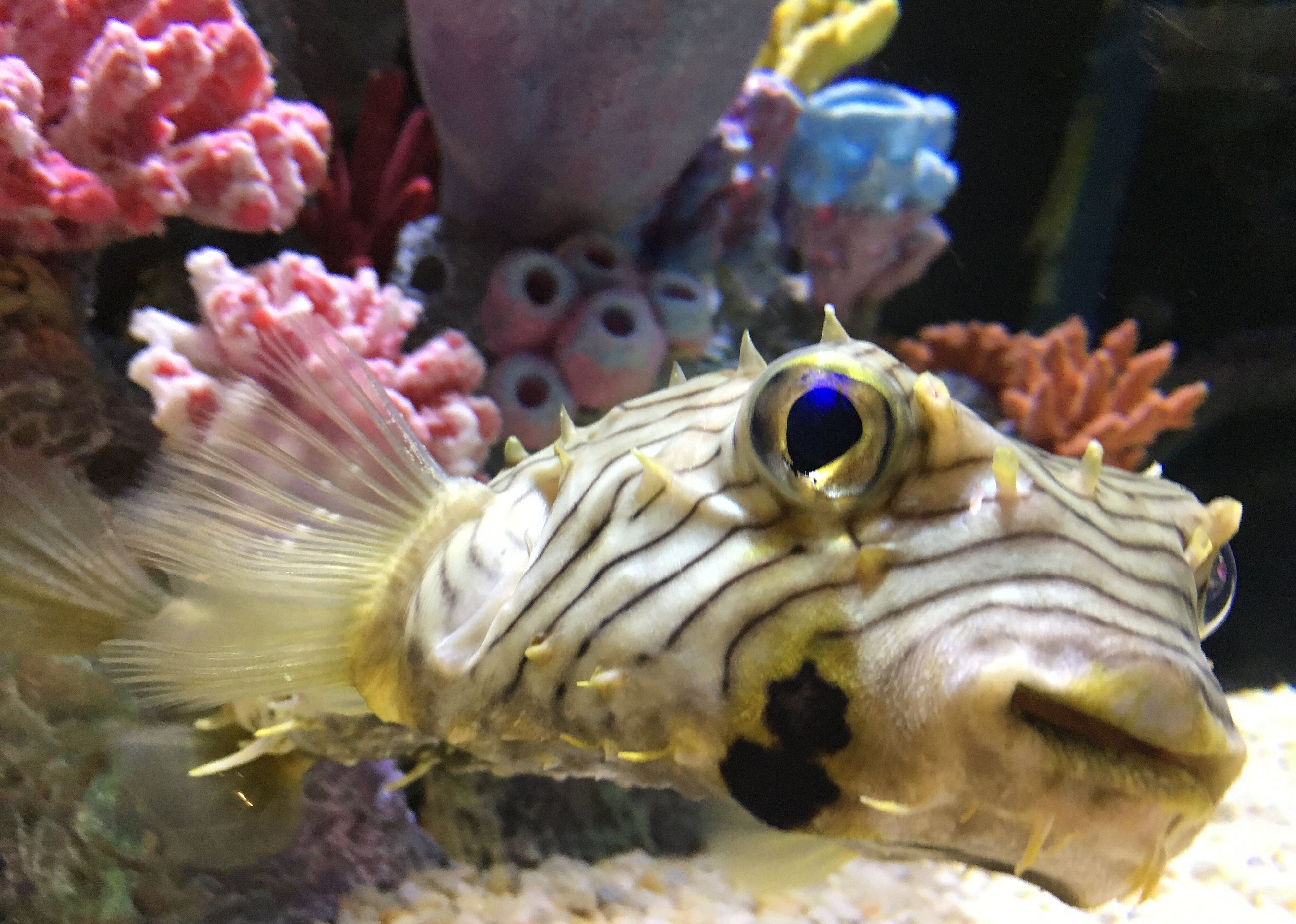 #21. Alabama Aquarium at the Dauphin Island Sea Lab