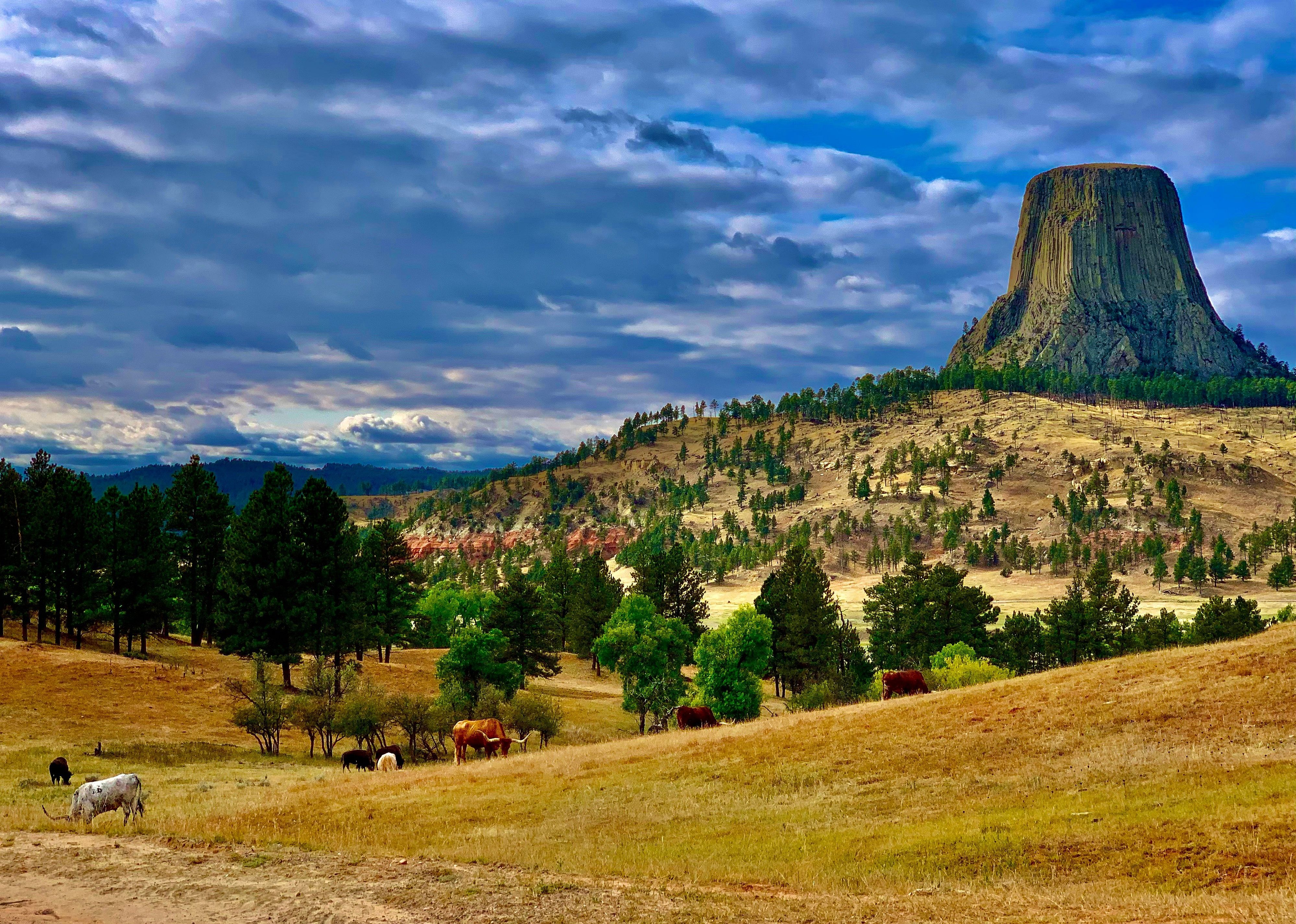#5. Devils Tower National Monument