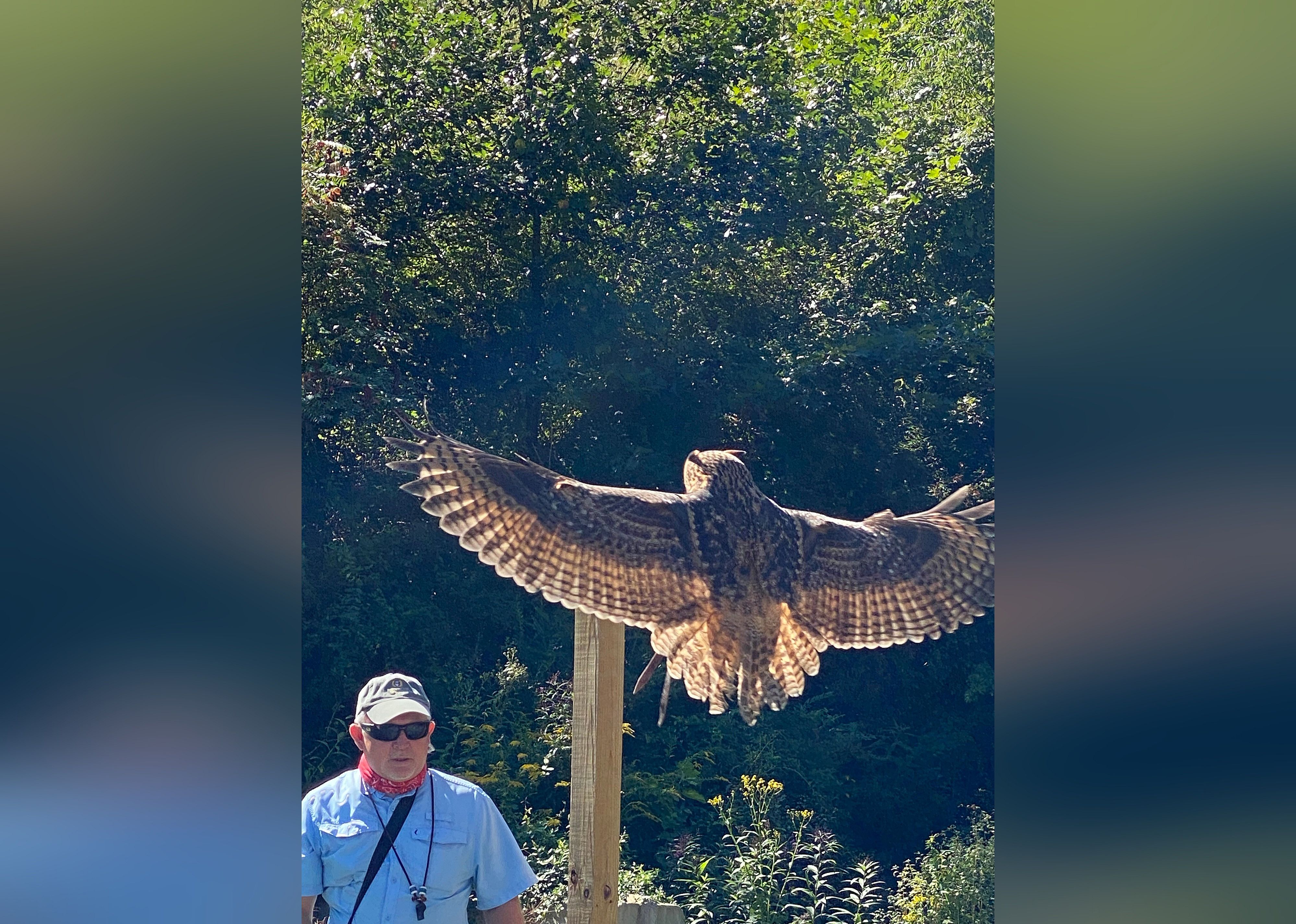#22. The Greenbrier Falconry