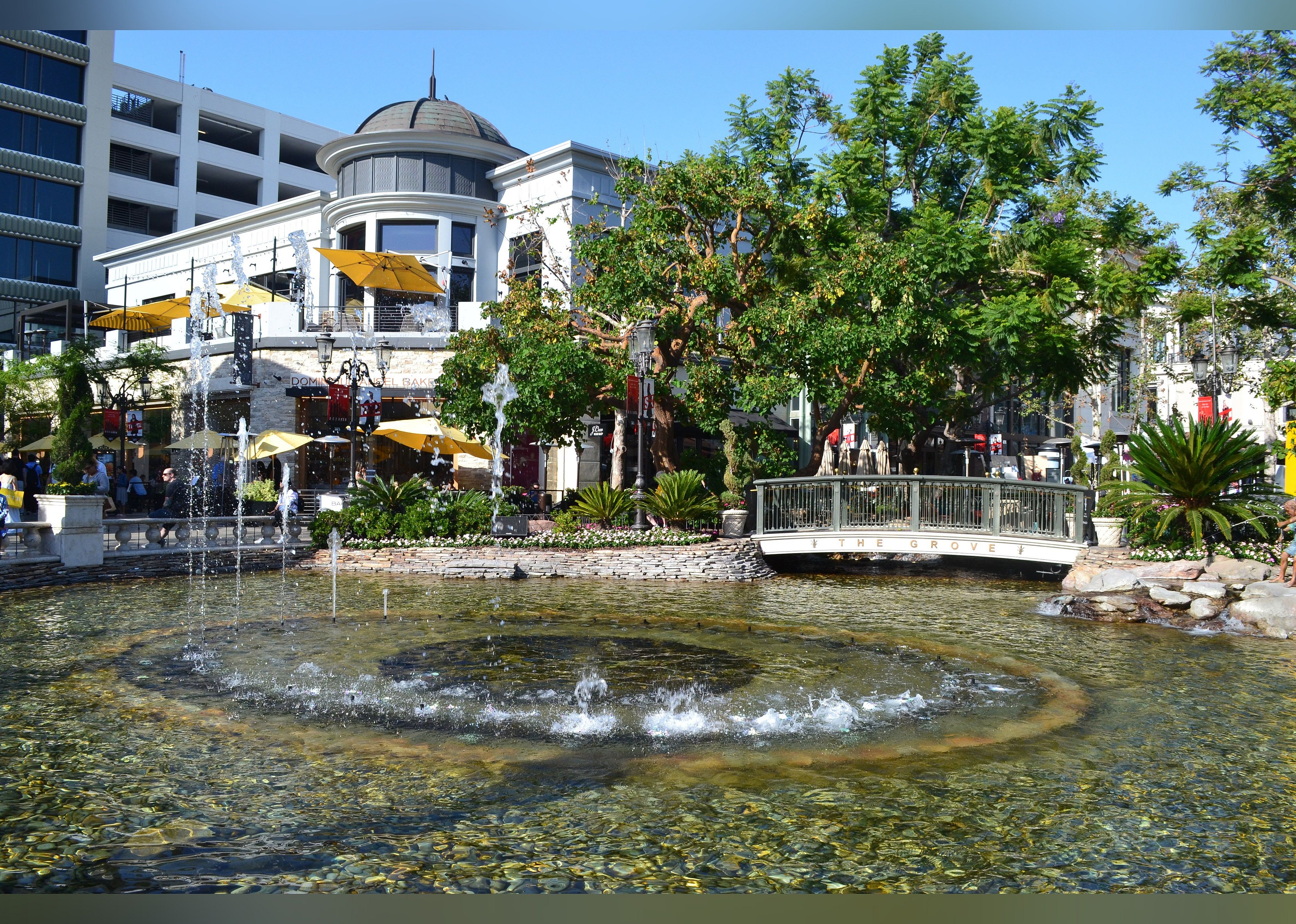 #12. The Grove