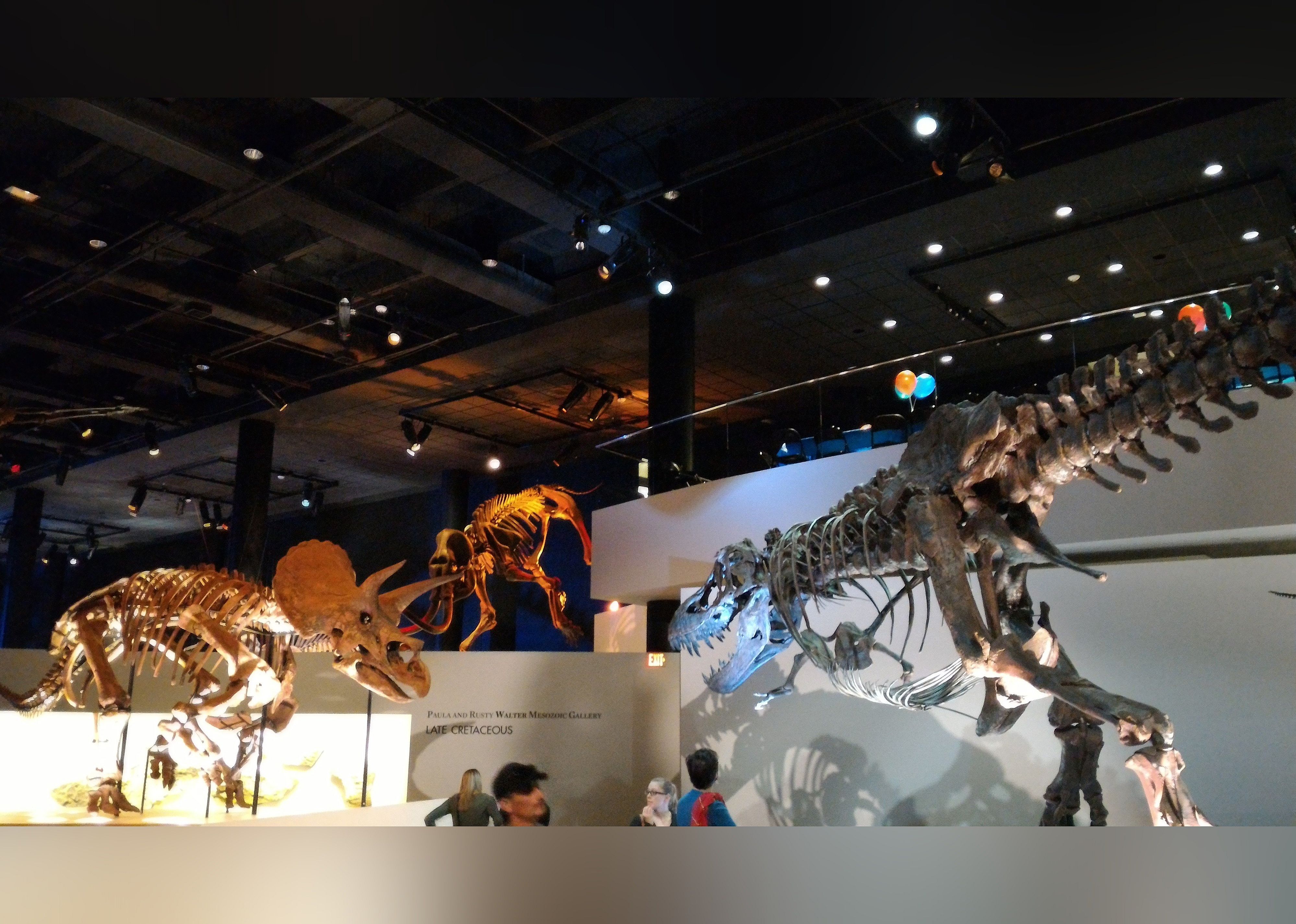 #8. The Houston Museum of Natural Science