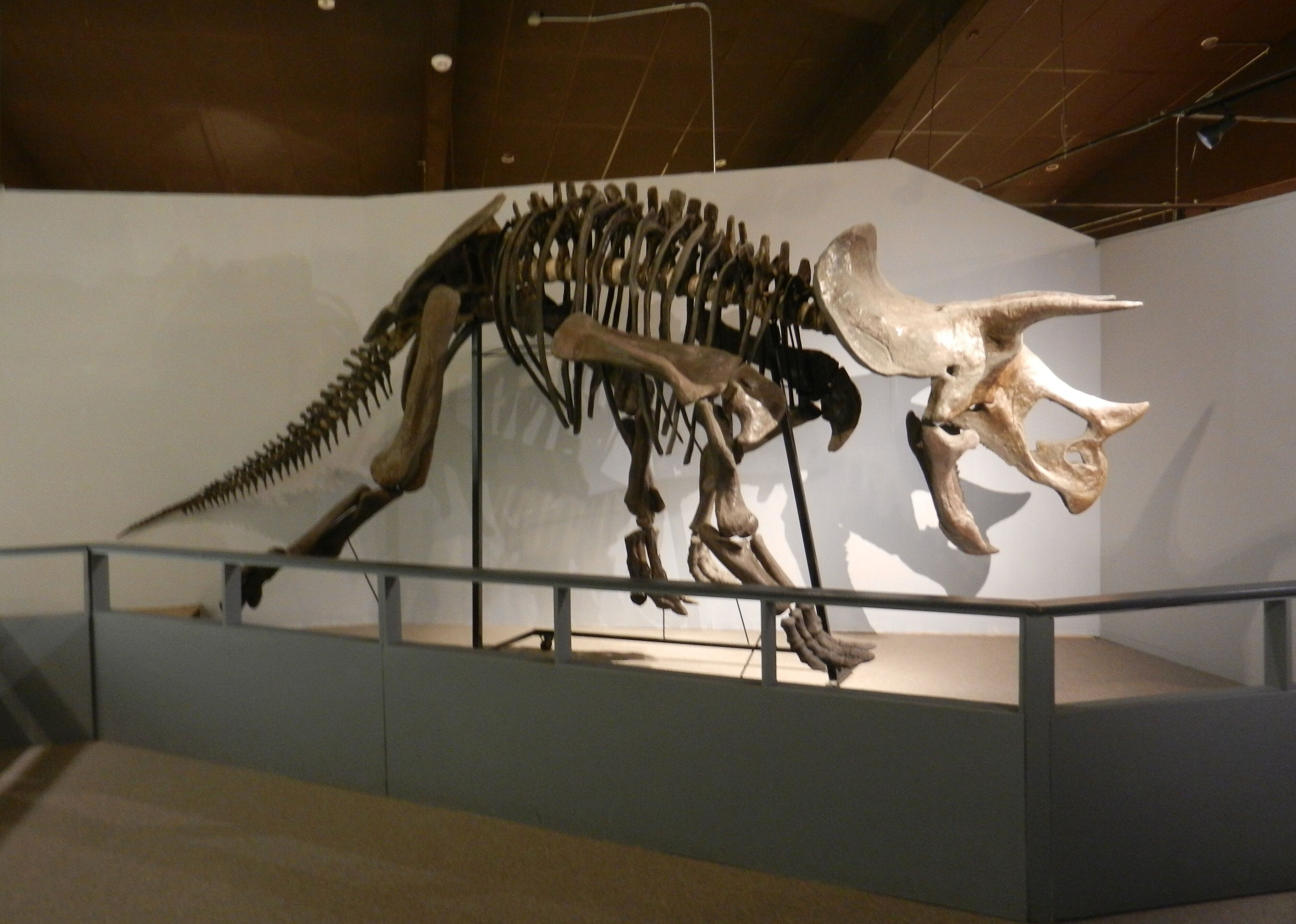 #21. Pioneer Trails Regional Museum