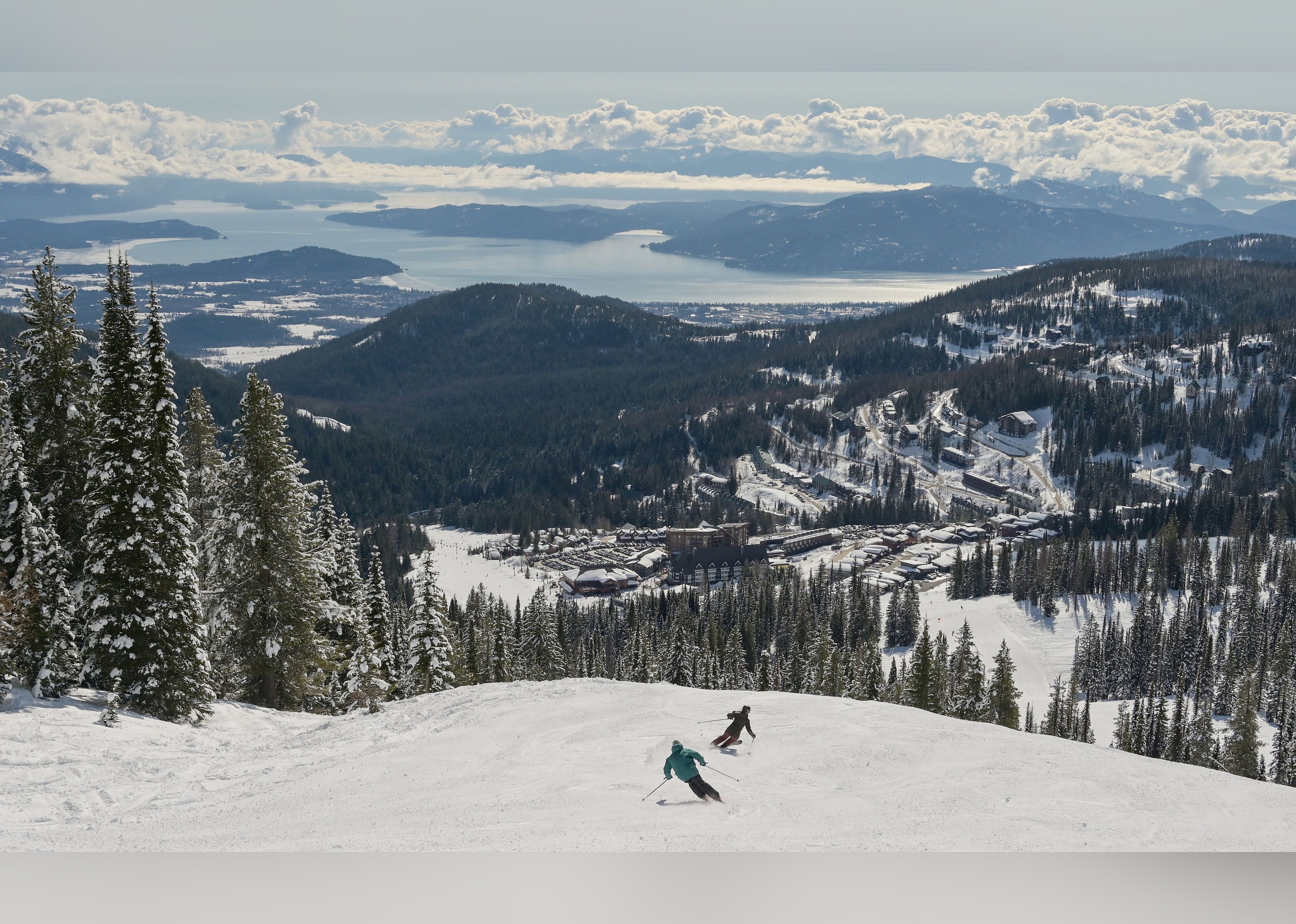 #29. Schweitzer