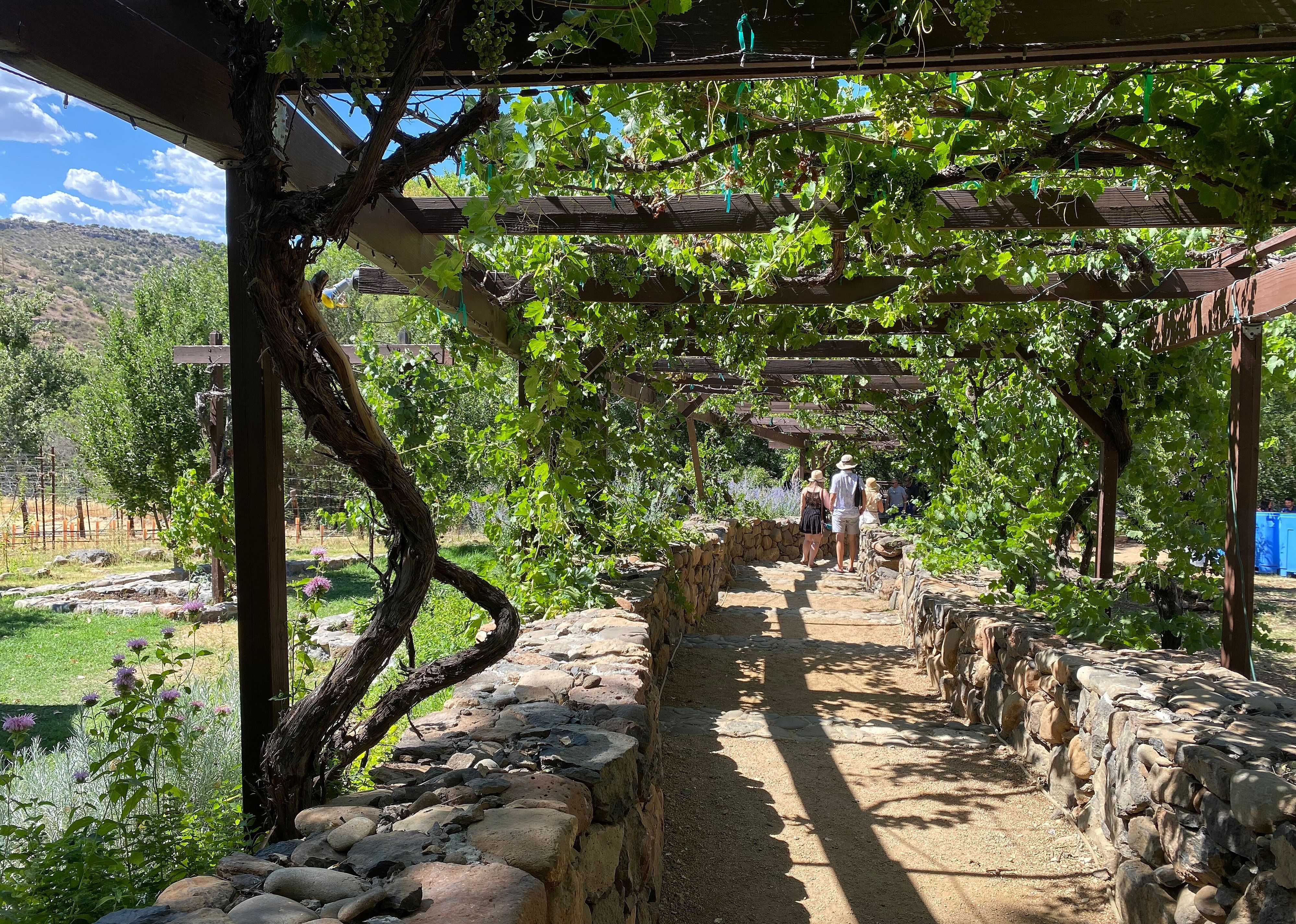 #1. Page Springs Cellars