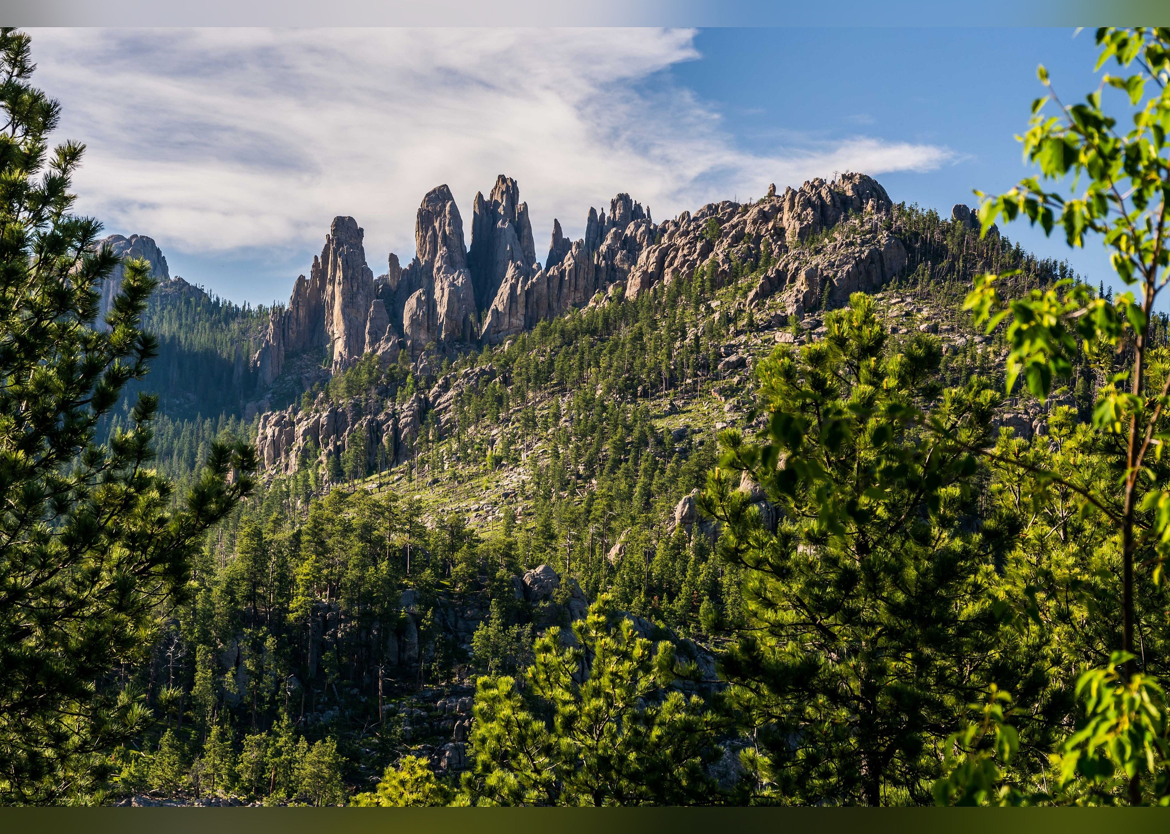 #6. Peter Norbeck Scenic Byway