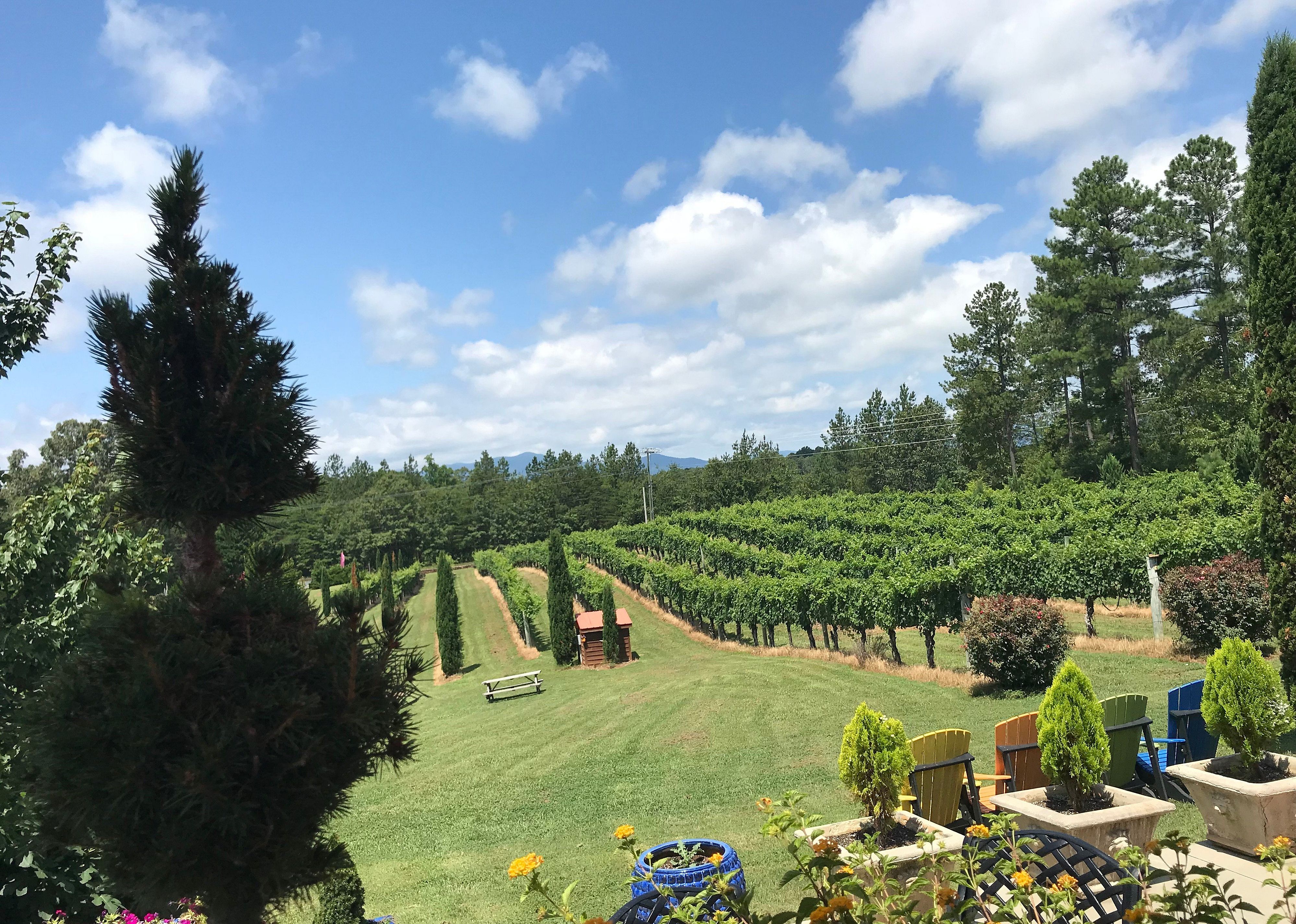 #22. Overmountain Vineyards