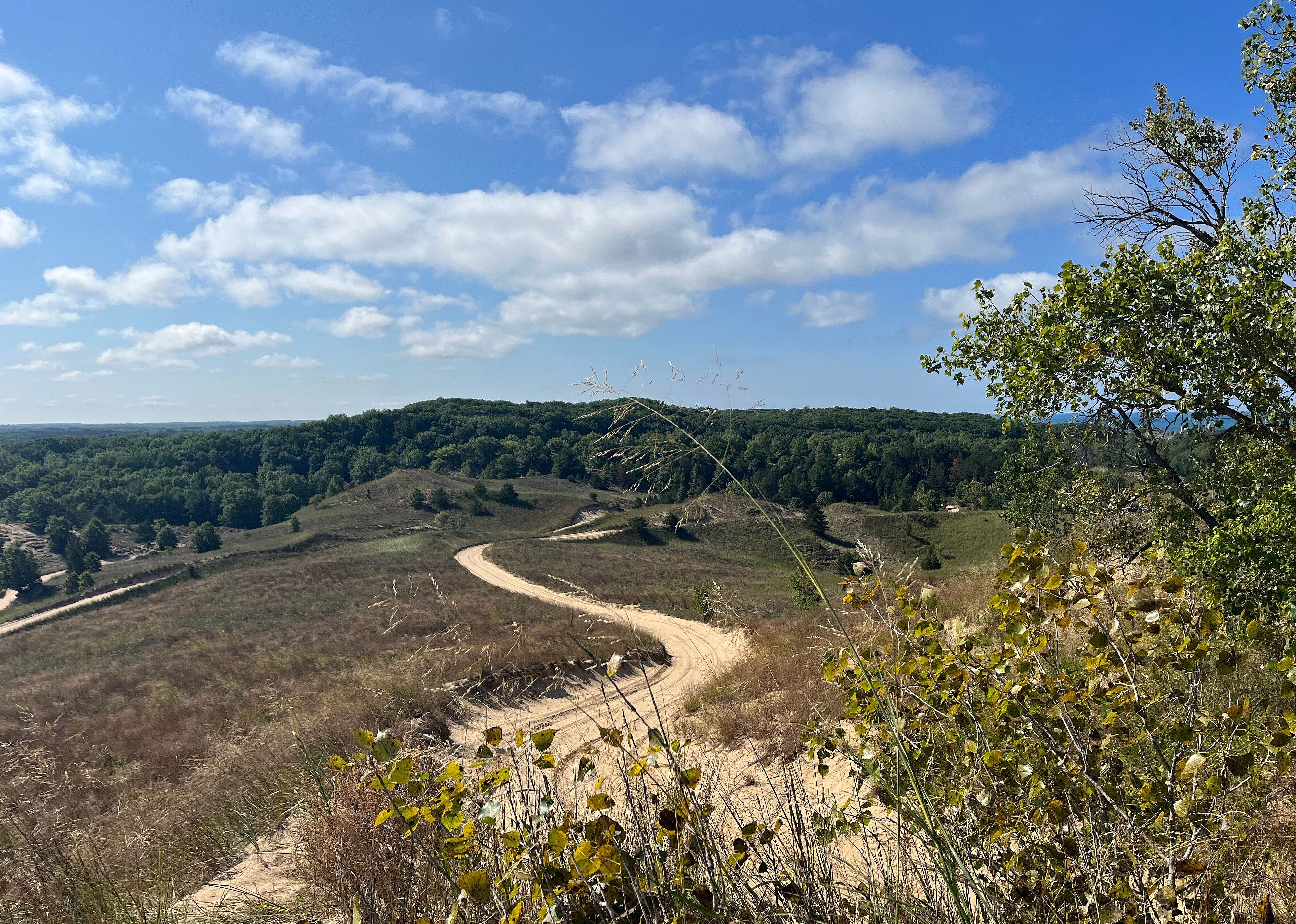 #1. Saugatuck Dune Rides